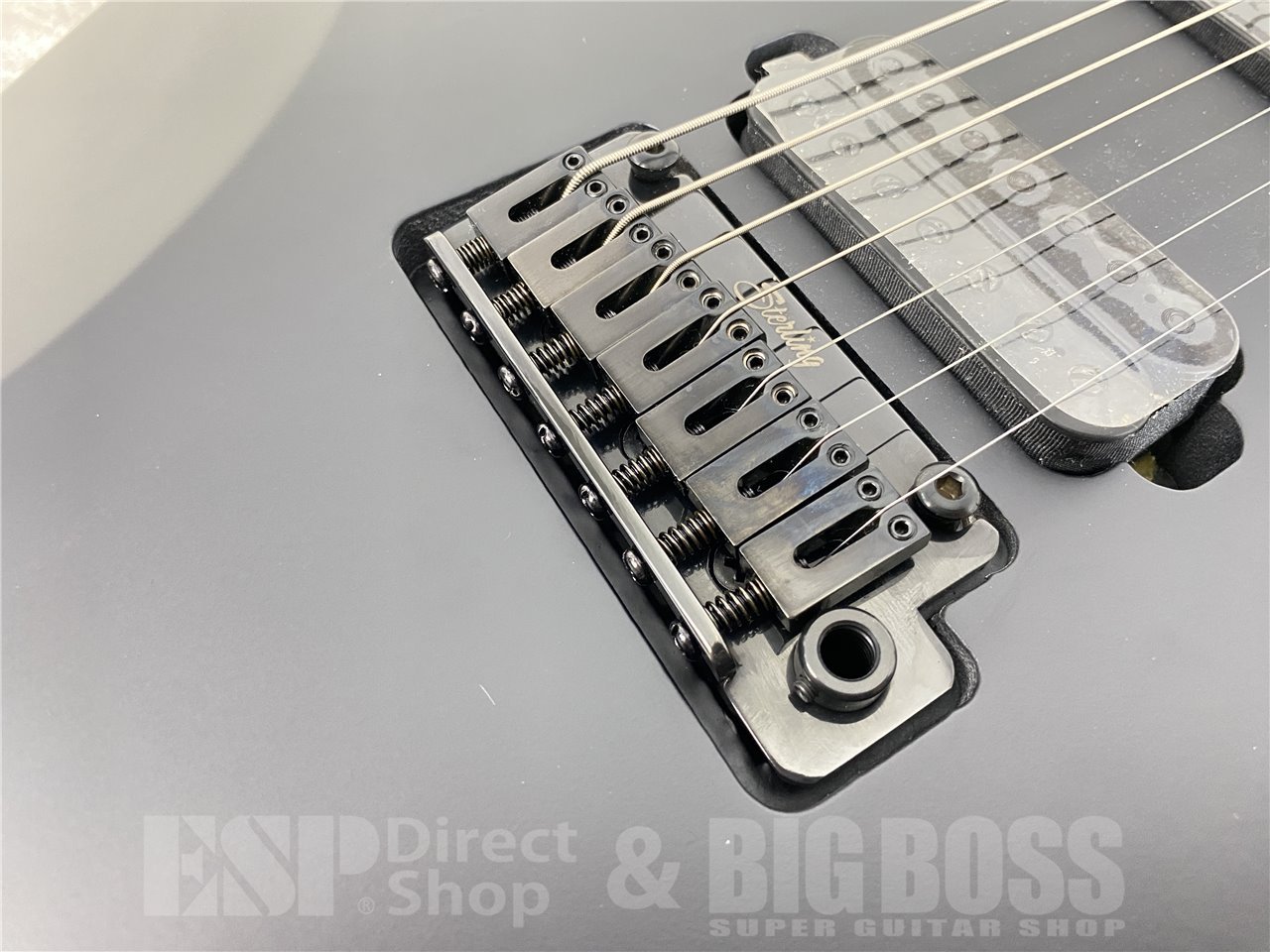 【即納可能】Sterling by MUSIC MAN(スターリンバイミュージックマン) John Petrucci Model JP70 (Stealth Black) お茶の水駅前店(東京) - 8