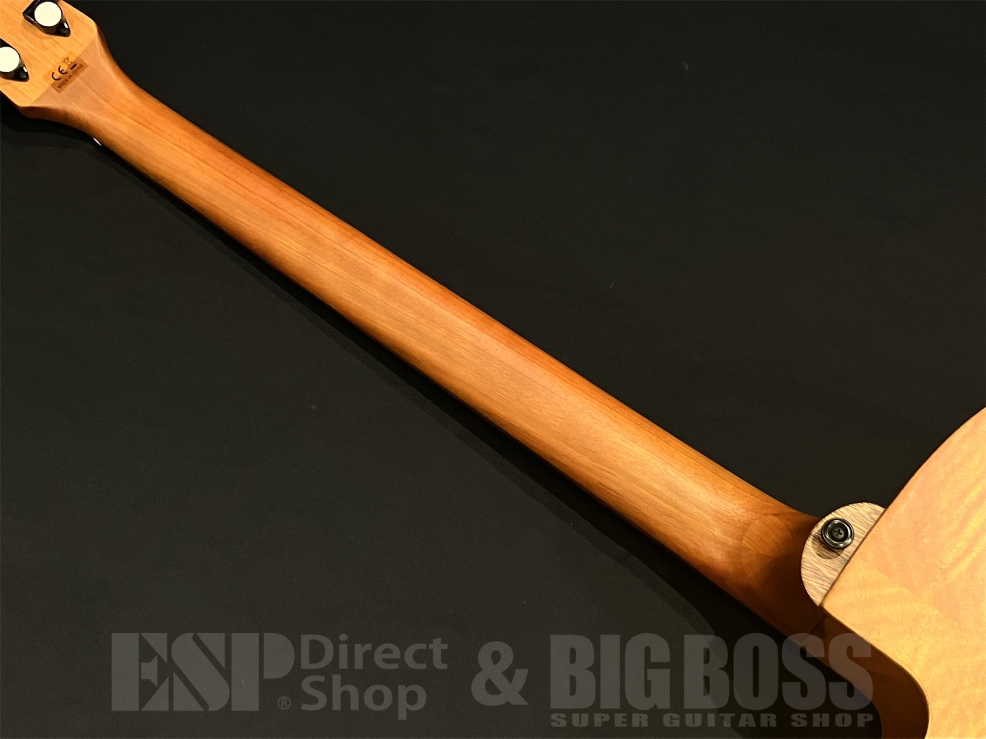 【即納可能】Aria Pro II(アリアプロツー) FEB-F2/FL / STBR 京都店