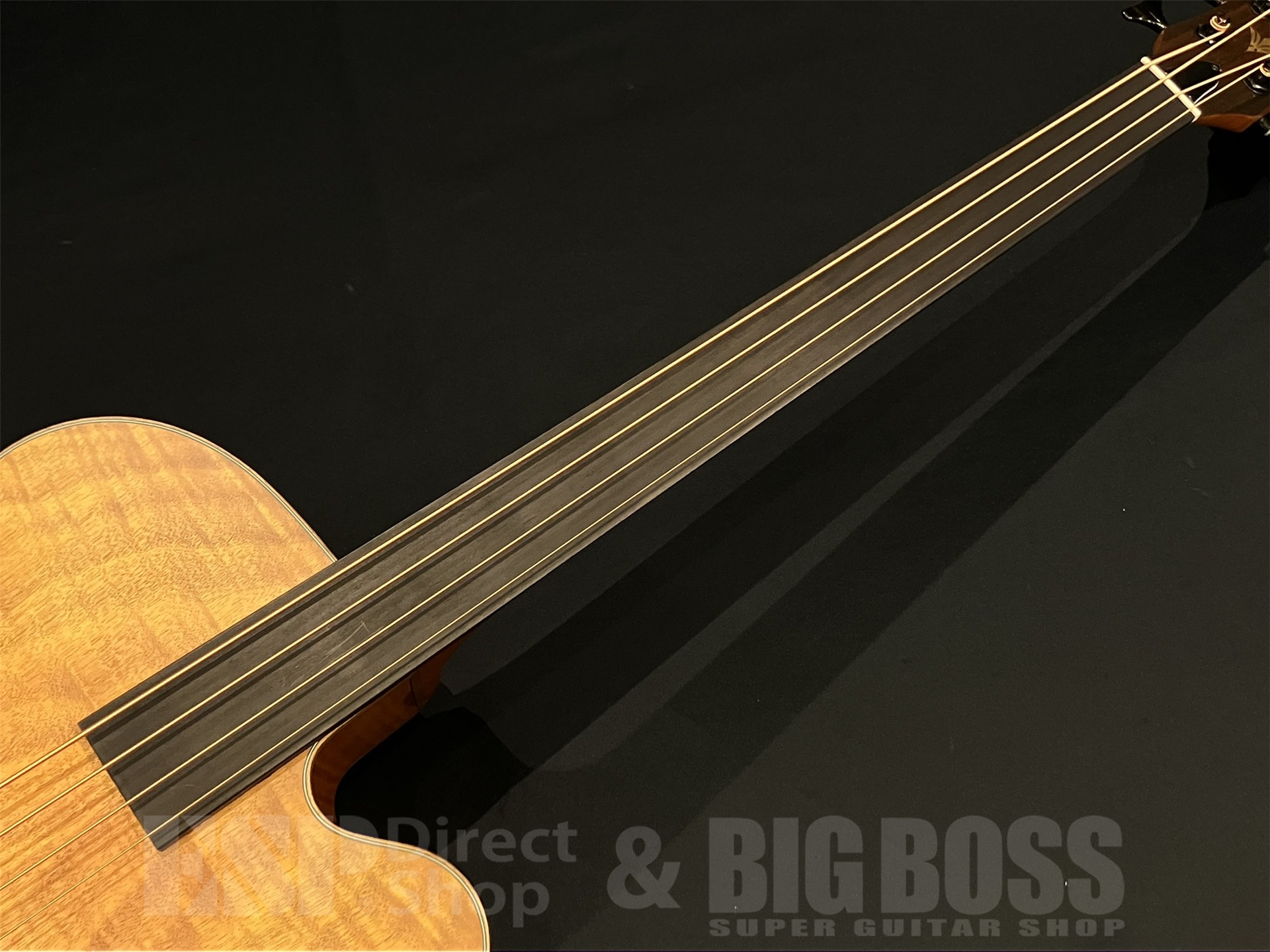 【即納可能】Aria Pro II(アリアプロツー) FEB-F2/FL / STBR 京都店