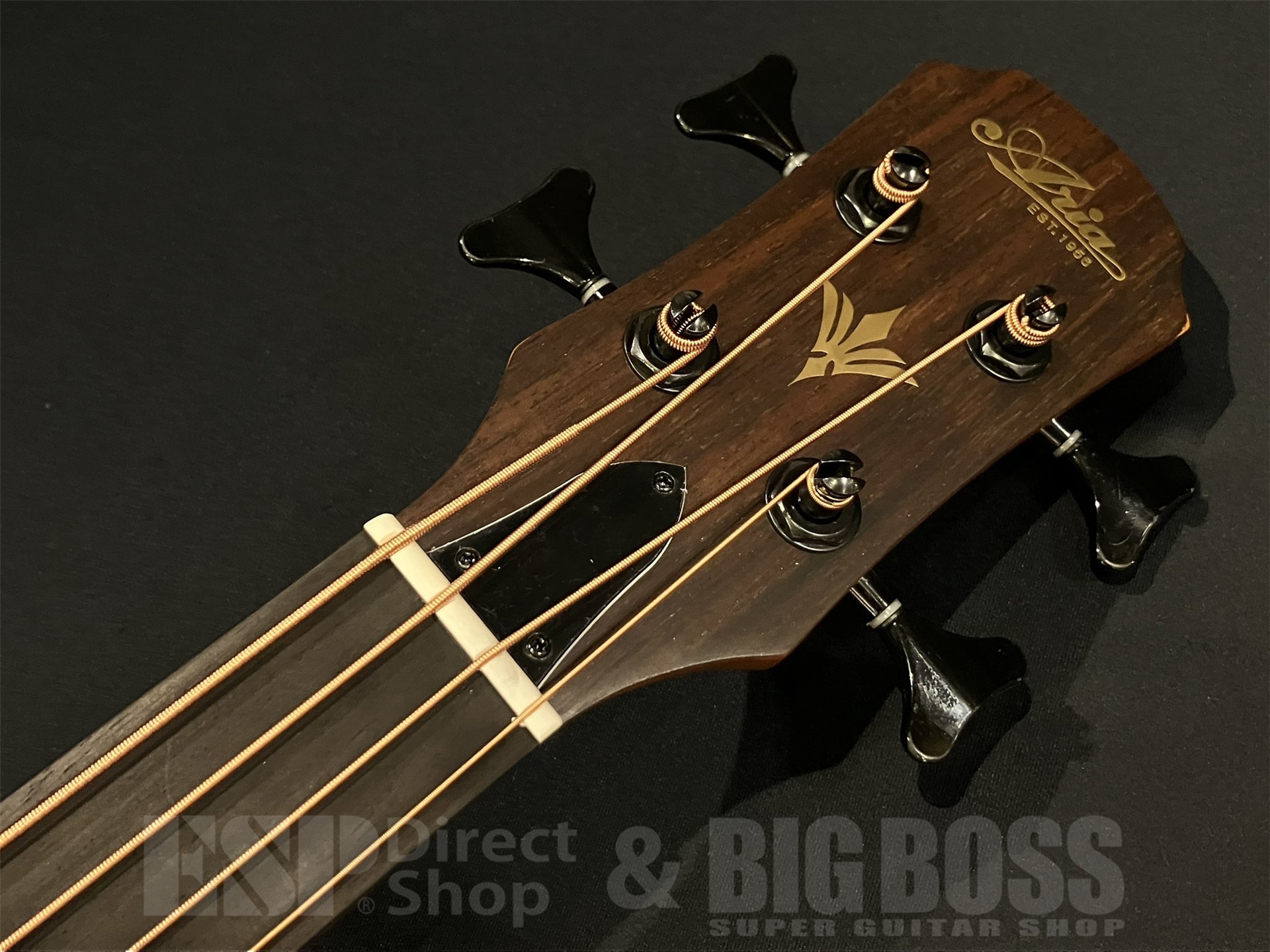 Aria Pro II ベースギター 中古楽器】Aria Pro II / SB-SW/CHC SPK SB-Selected Wood