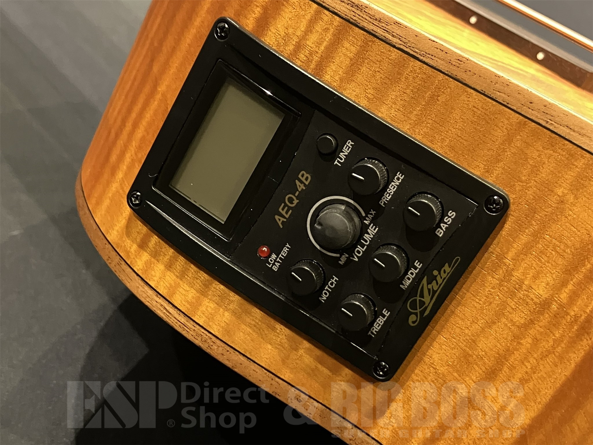 【即納可能】Aria Pro II(アリアプロツー) FEB-F2/FL / STBR 京都店