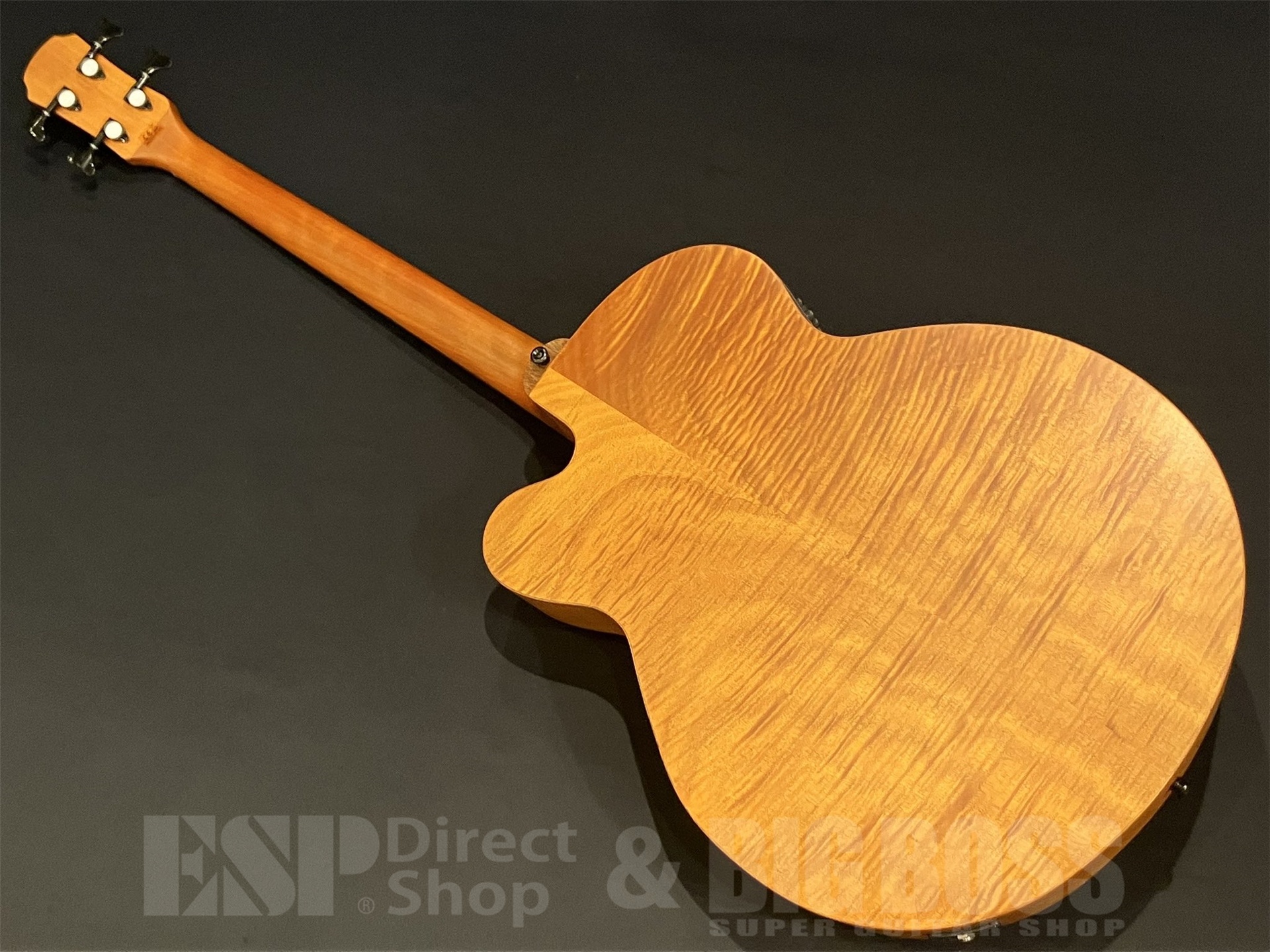 【即納可能】Aria Pro II(アリアプロツー) FEB-F2/FL / STBR 京都店