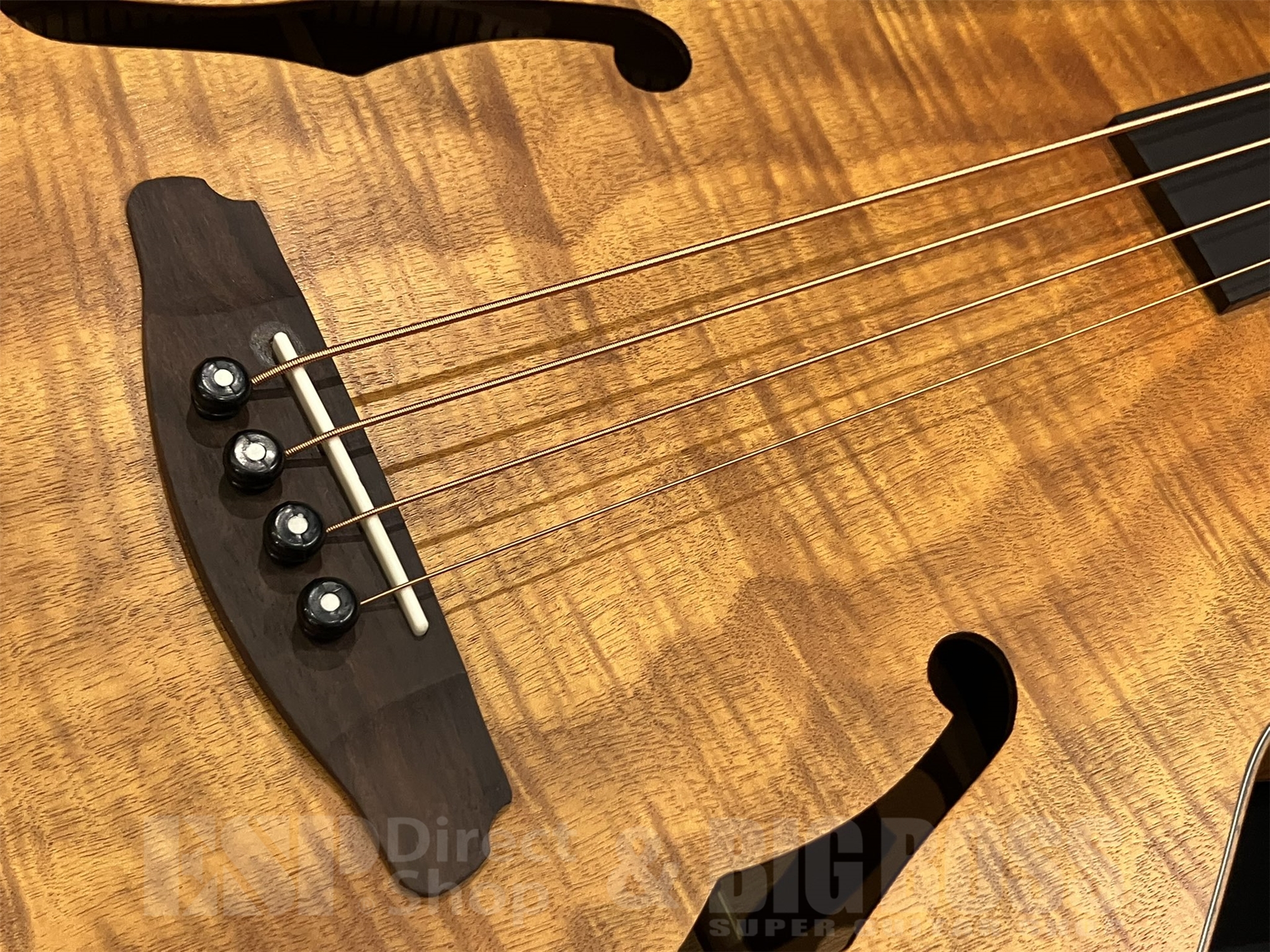 即納可能】Aria Pro II(アリアプロツー) FEB-F2/FL / STBR 京都