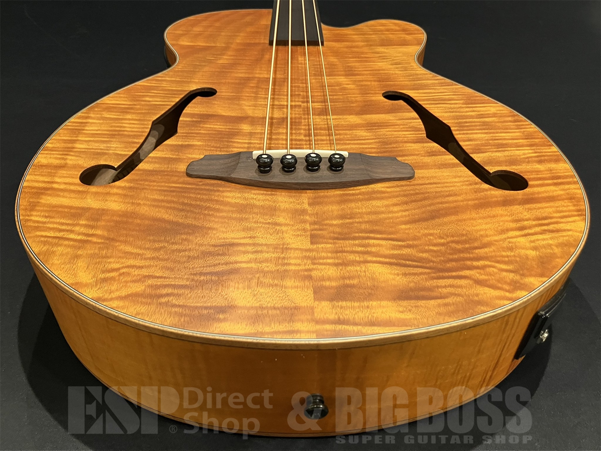 【即納可能】Aria Pro II(アリアプロツー) FEB-F2/FL / STBR 京都店