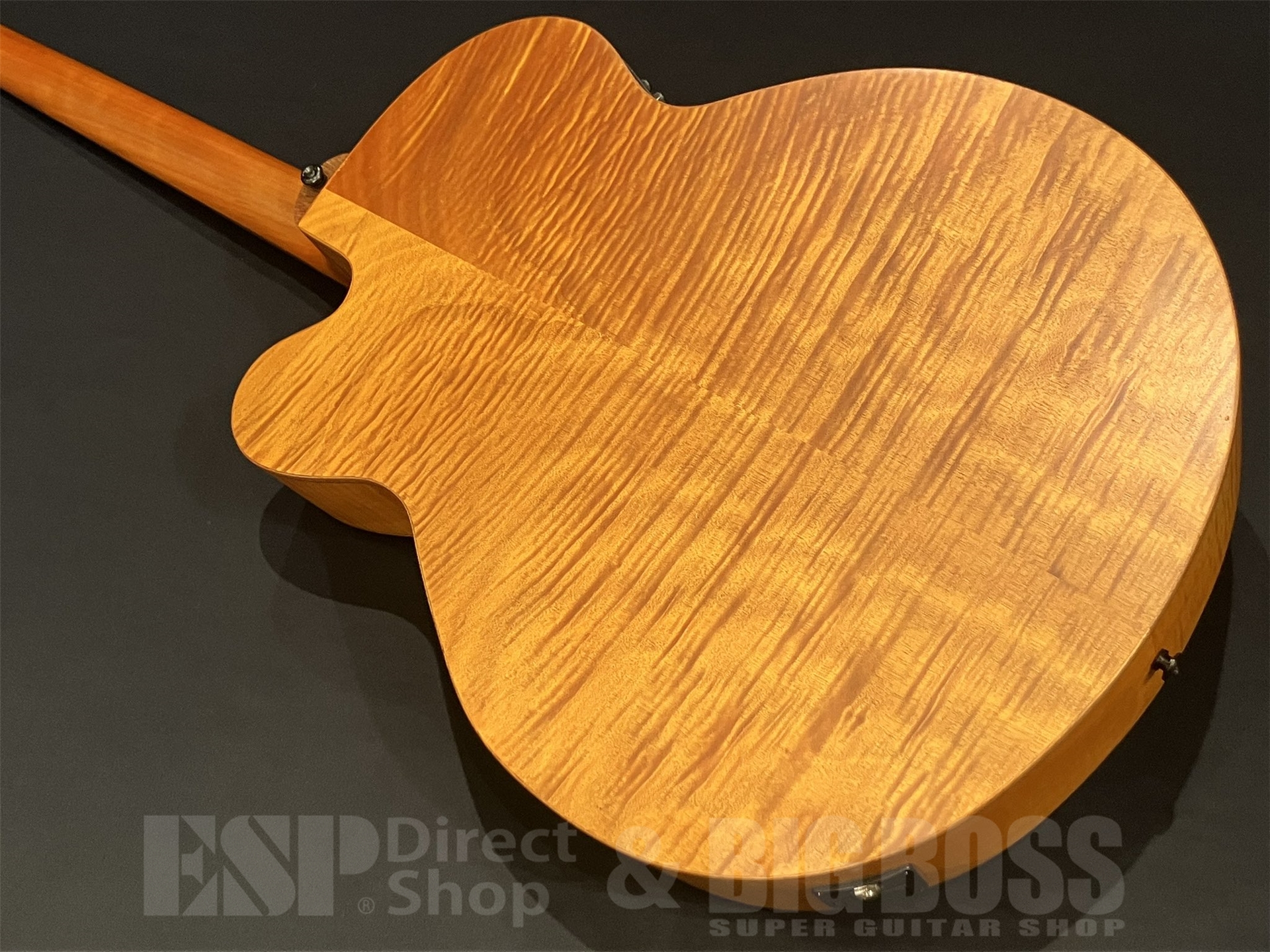 【即納可能】Aria Pro II(アリアプロツー) FEB-F2/FL / STBR 京都店