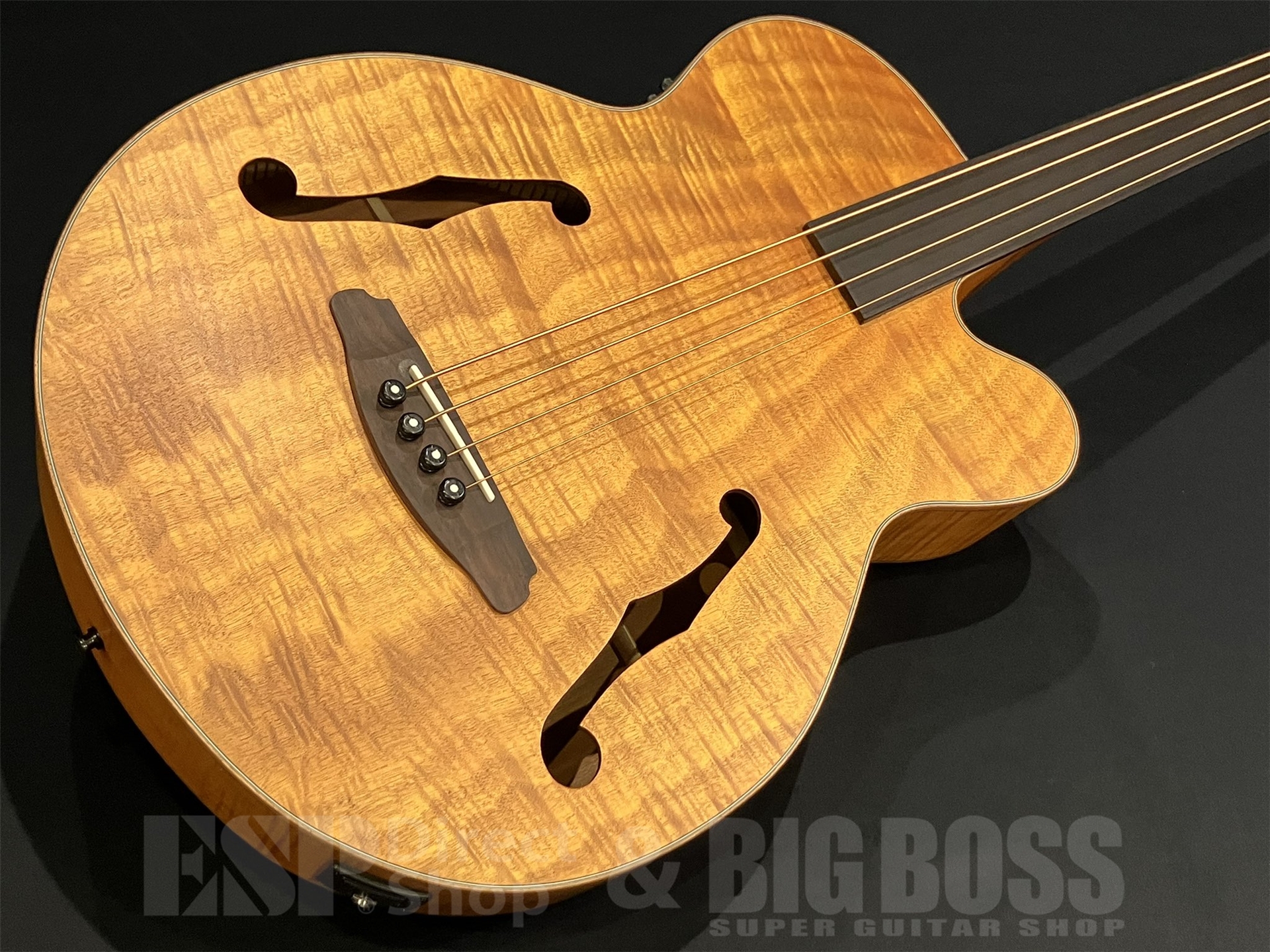 【即納可能】Aria Pro II(アリアプロツー) FEB-F2/FL / STBR 京都店