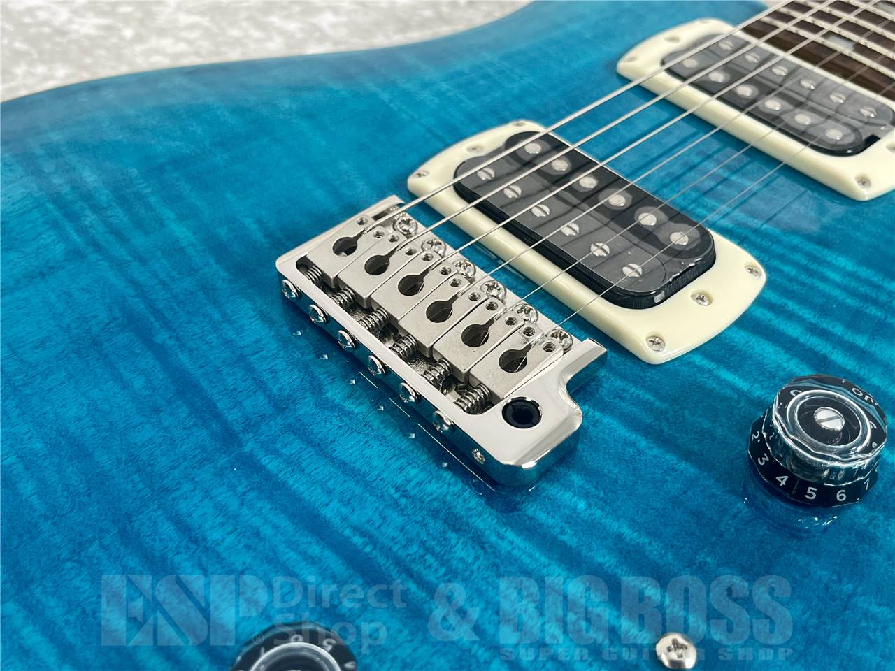 【即納可能】Paul Reed Smith(PRS/ポールリードスミス) SE Custom 24 / Blue Matteo (2025年製)お茶の水駅前店・別館 - 3