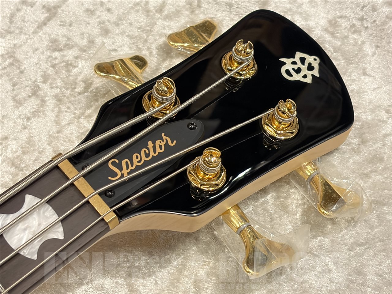 【即納可能】Spector(スペクター)NS 2 Bolt-On 4(Black Stain Gloss) 名古屋店 - 5