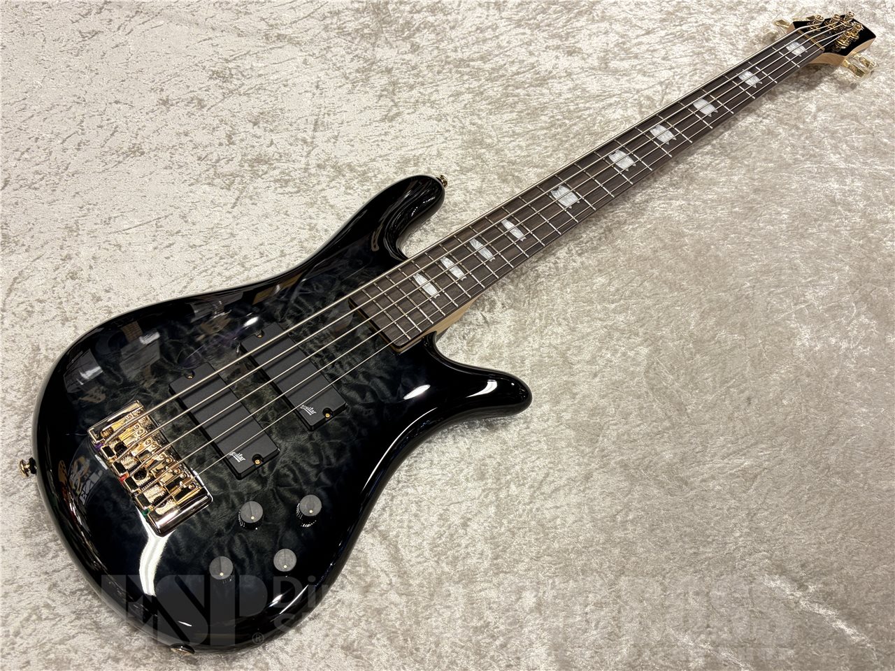 【即納可能】Spector（スペクター）Icon NS 5 Bolt-On 5（Black Stain Gloss）　名古屋店