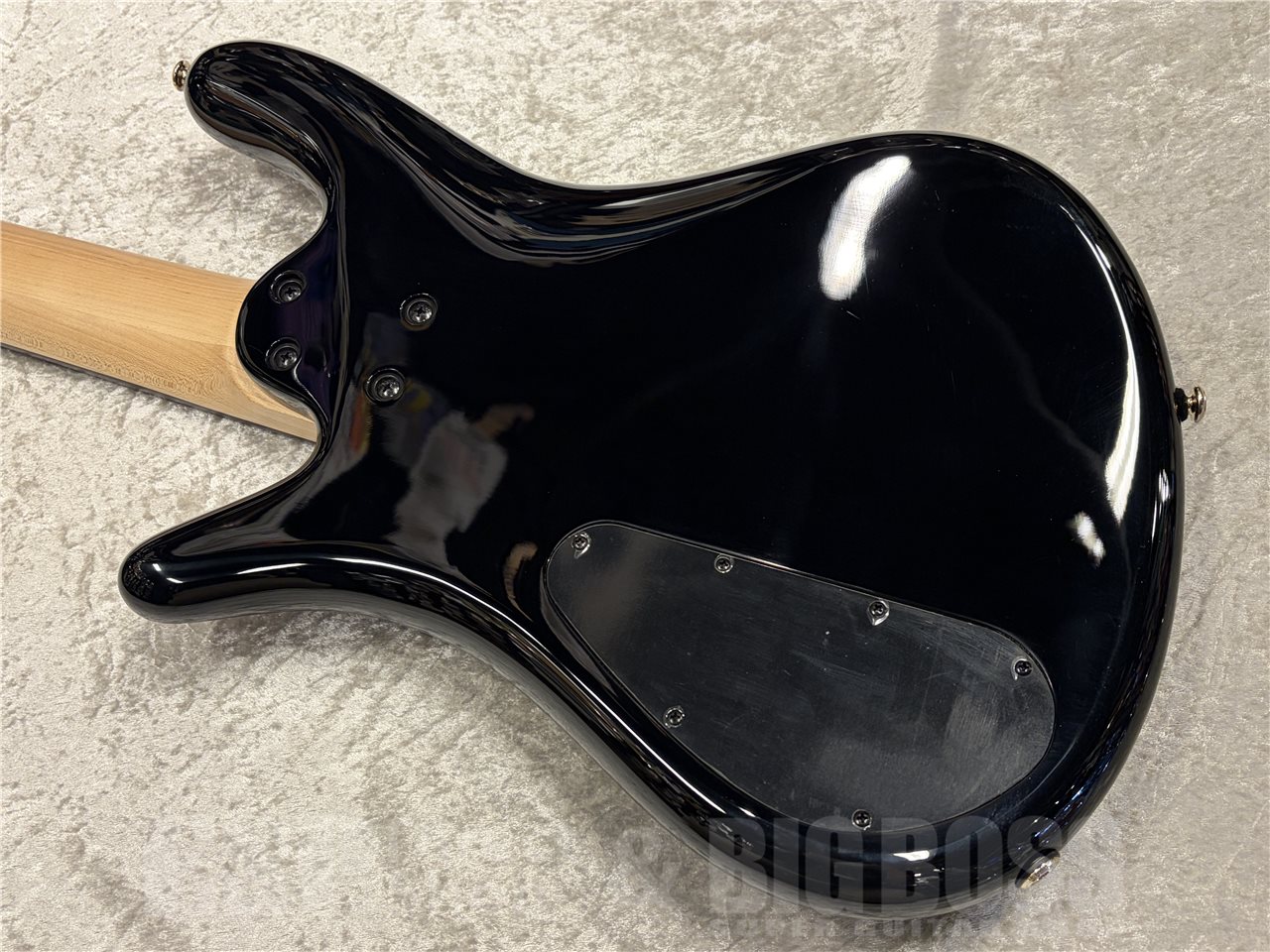 【即納可能】Spector(スペクター)Icon NS 5 Bolt-On 5(Black Stain Gloss) 名古屋店 - 8