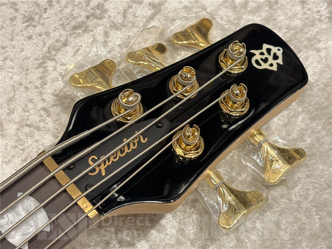 【即納可能】Spector(スペクター)Icon NS 5 Bolt-On 5(Black Stain Gloss) 名古屋店 - 5
