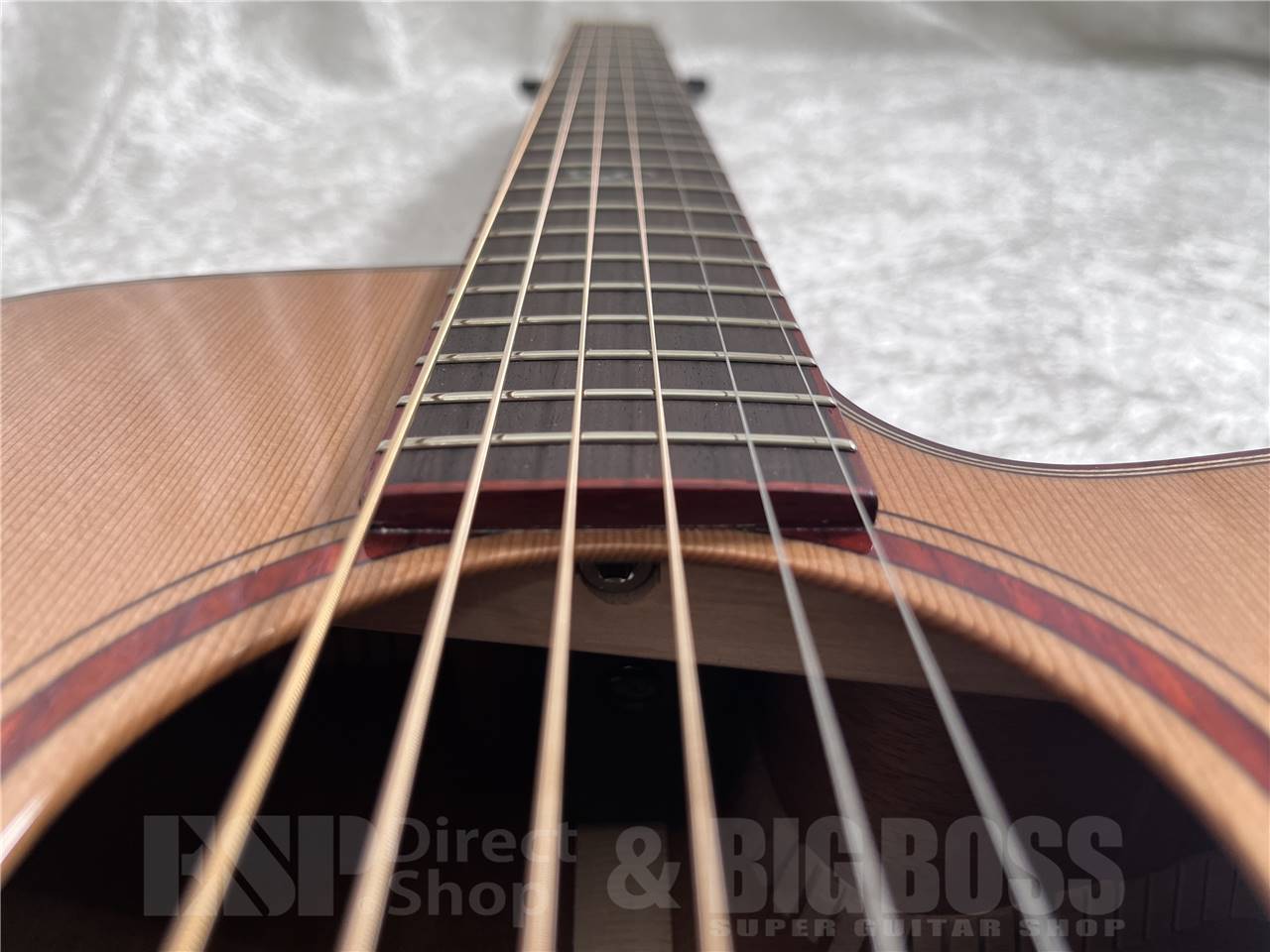 【即納可能】Morris(モーリス) S-91III  S SERIES (アコースティックギター) お茶の水駅前店・別館