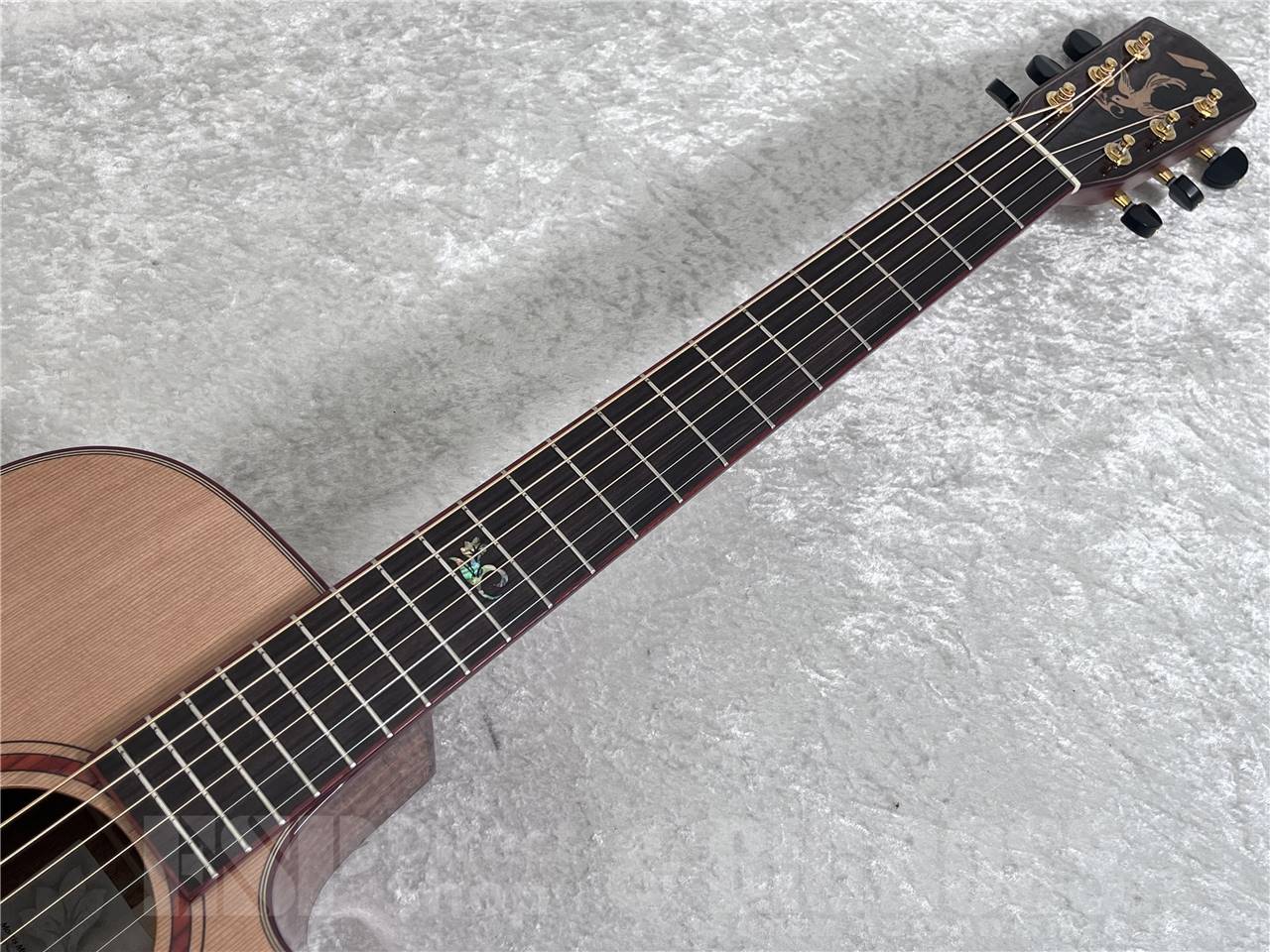 【即納可能】Morris(モーリス) S-91III  S SERIES (アコースティックギター) お茶の水駅前店・別館