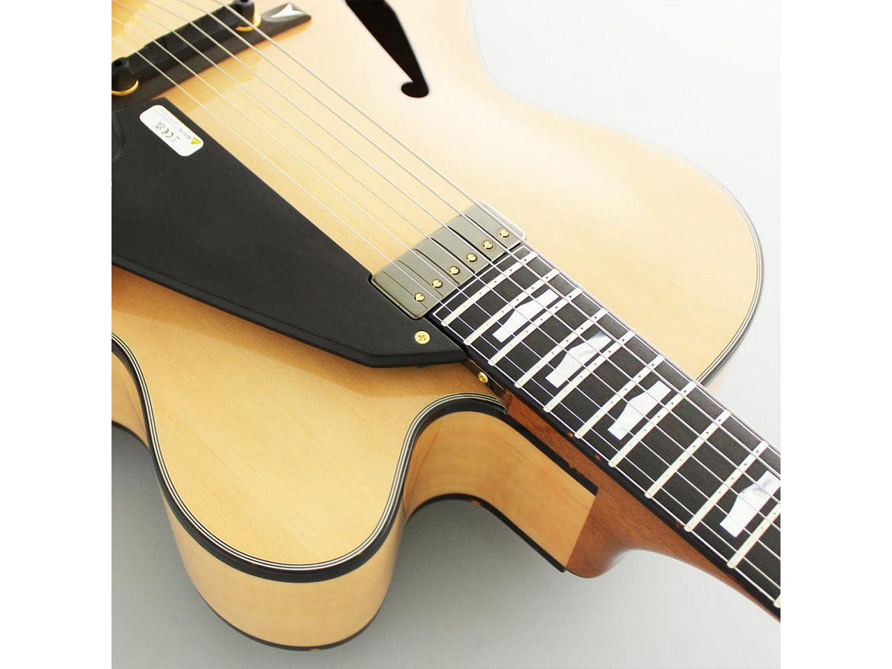 【お取り寄せ】FUJIGEN(FGN/フジゲン) MFA-FP/JN(ジャズナチュラル)