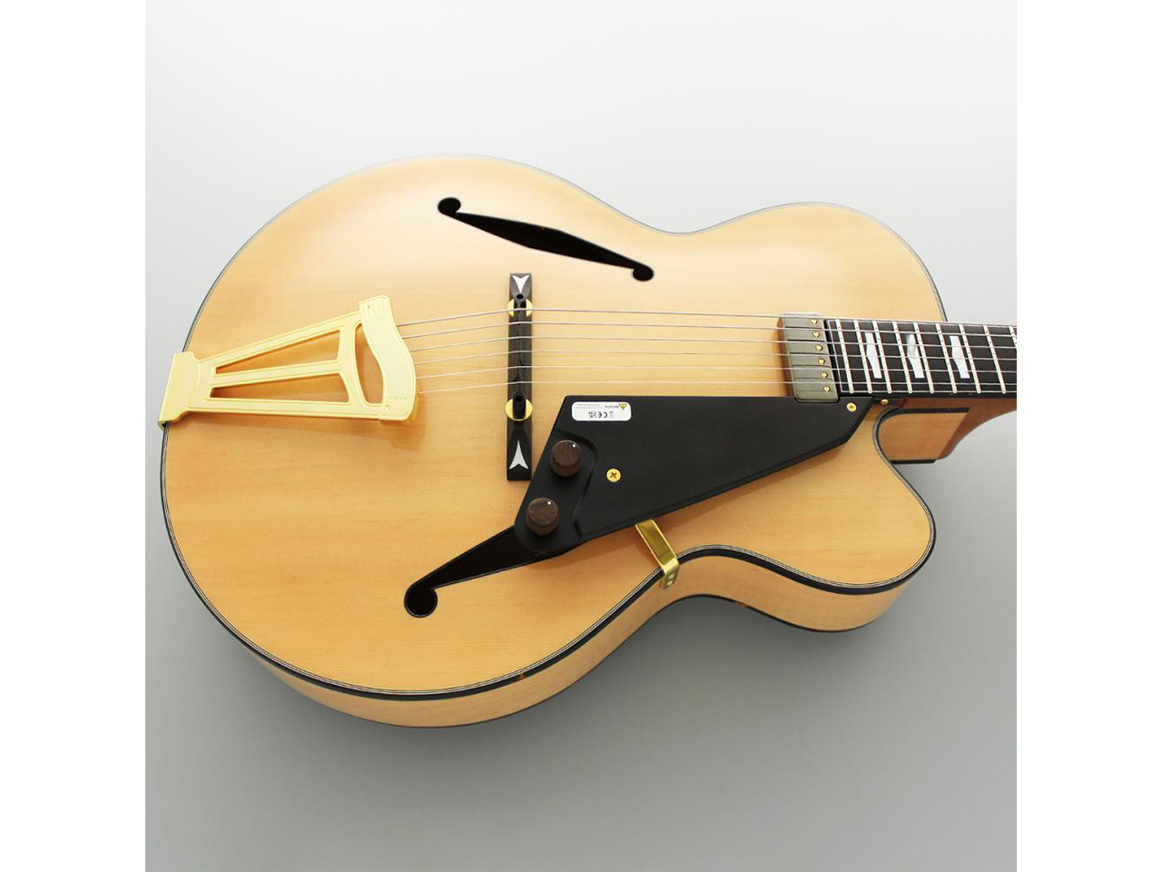 【お取り寄せ】FUJIGEN(FGN/フジゲン) MFA-FP/JN(ジャズナチュラル)