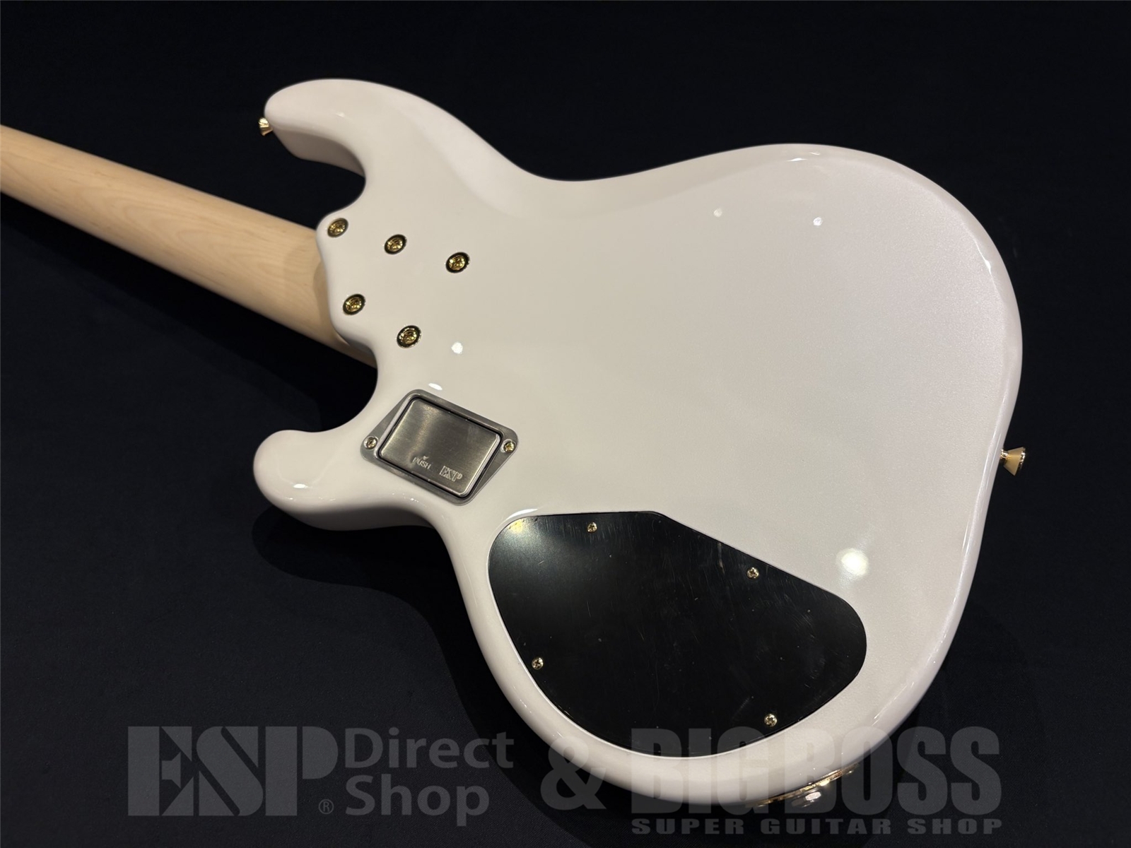 【即納可能】STELLA GEAR(ステラギア)Albion-DL / Pearl White 京都店 - 9