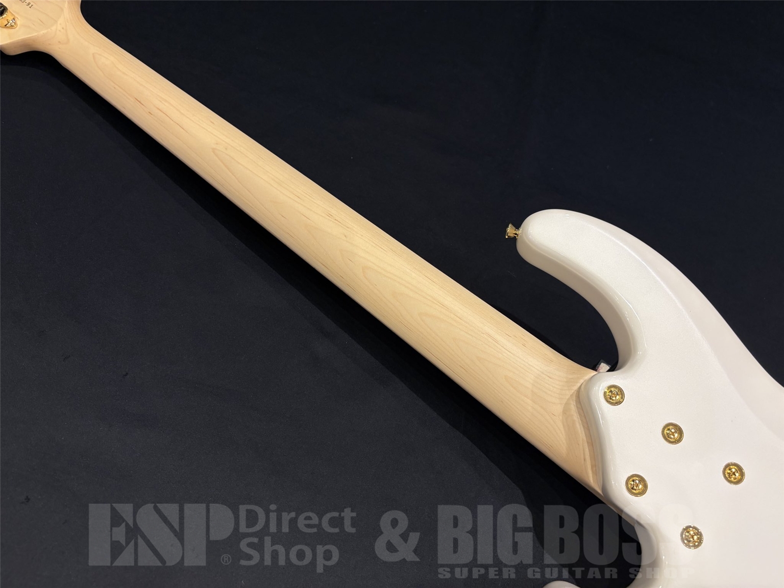 【即納可能】STELLA GEAR(ステラギア)Albion-DL / Pearl White 京都店 - 10