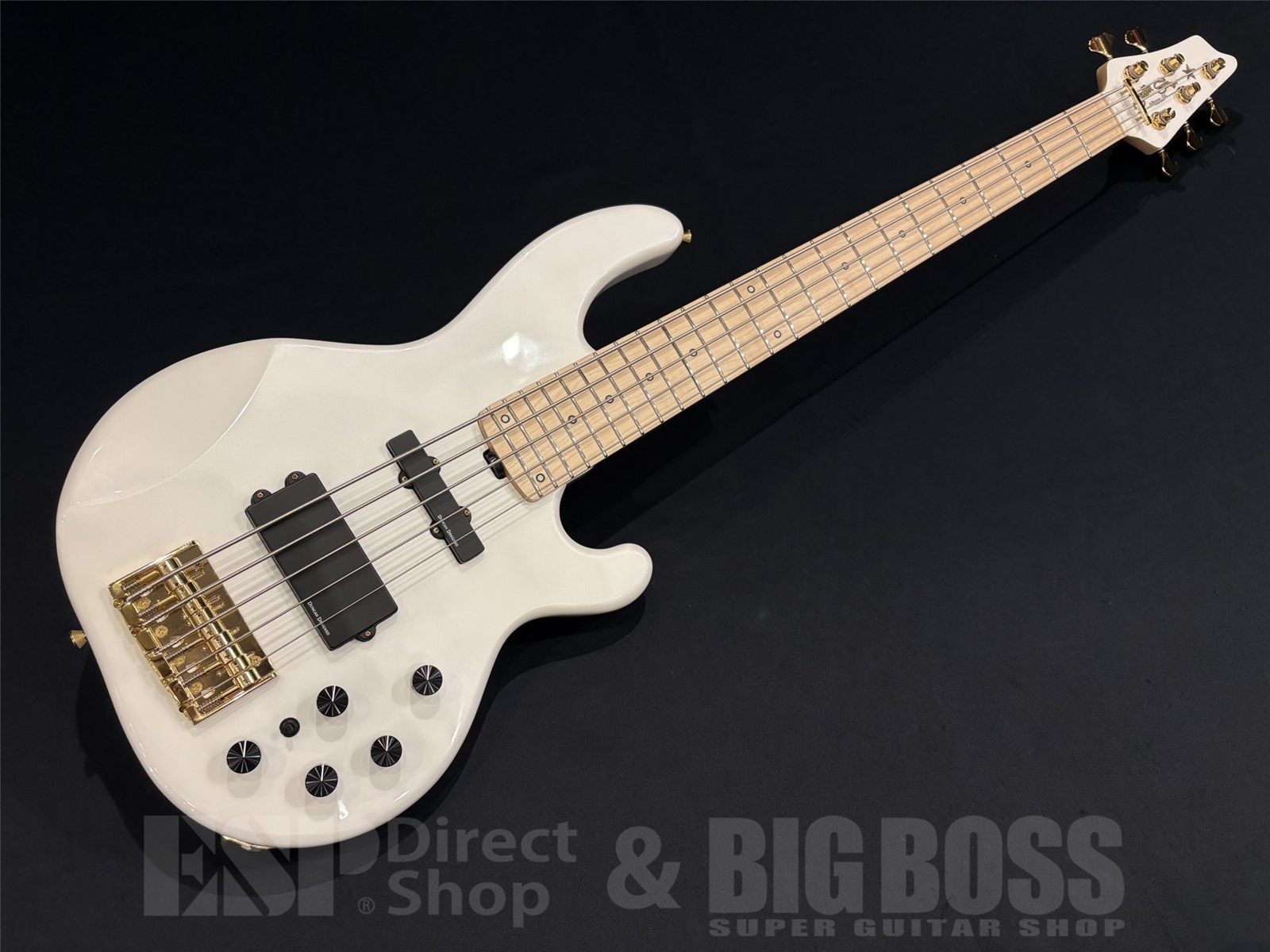 【即納可能】STELLA GEAR(ステラギア)Albion-DL / Pearl White 京都店