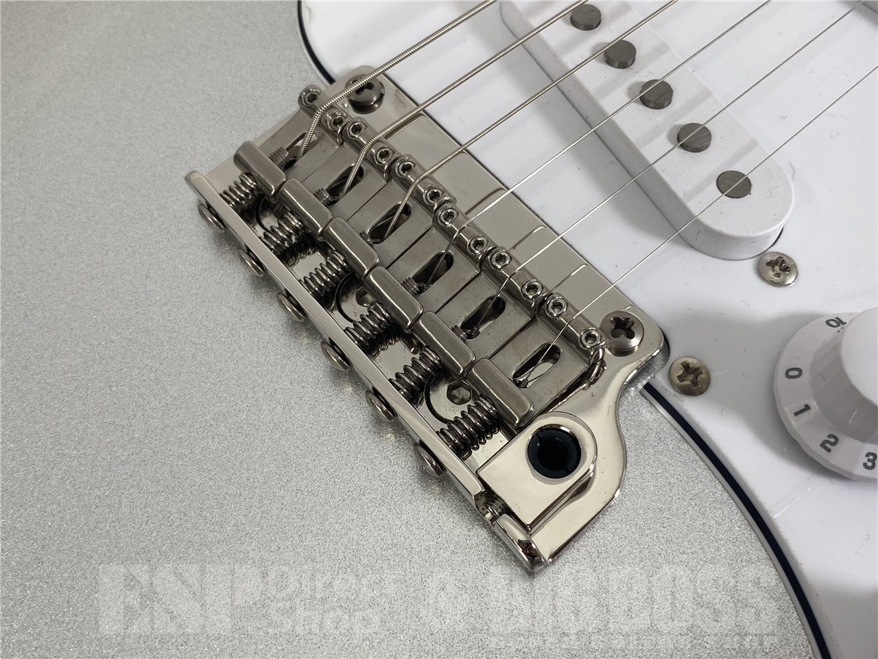 【即納可能】Paul Reed Smith(PRS/ポールリードスミス) SE Silver Sky Limited Colors (Platinum Spark) お茶の水駅前店(東京) - 5