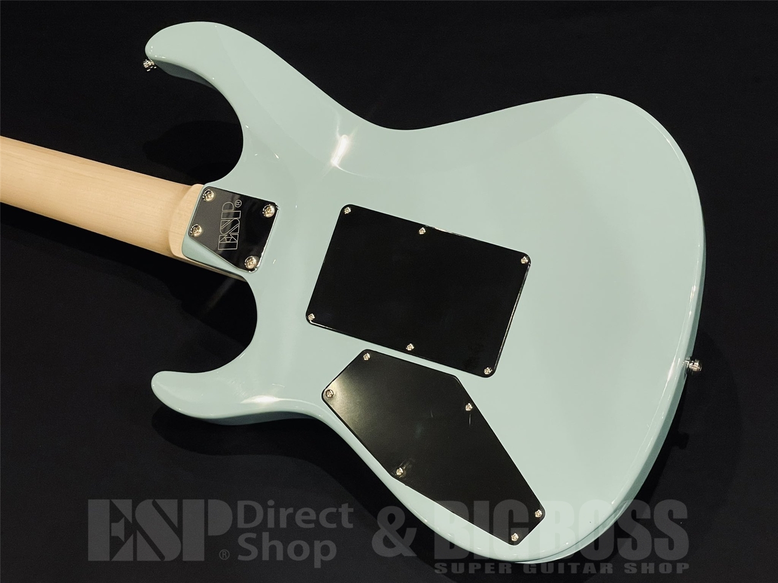 【即納可能】EDWARDS(エドワーズ) E-MAVERICK / Robin Egg Blue 京都店 - 9
