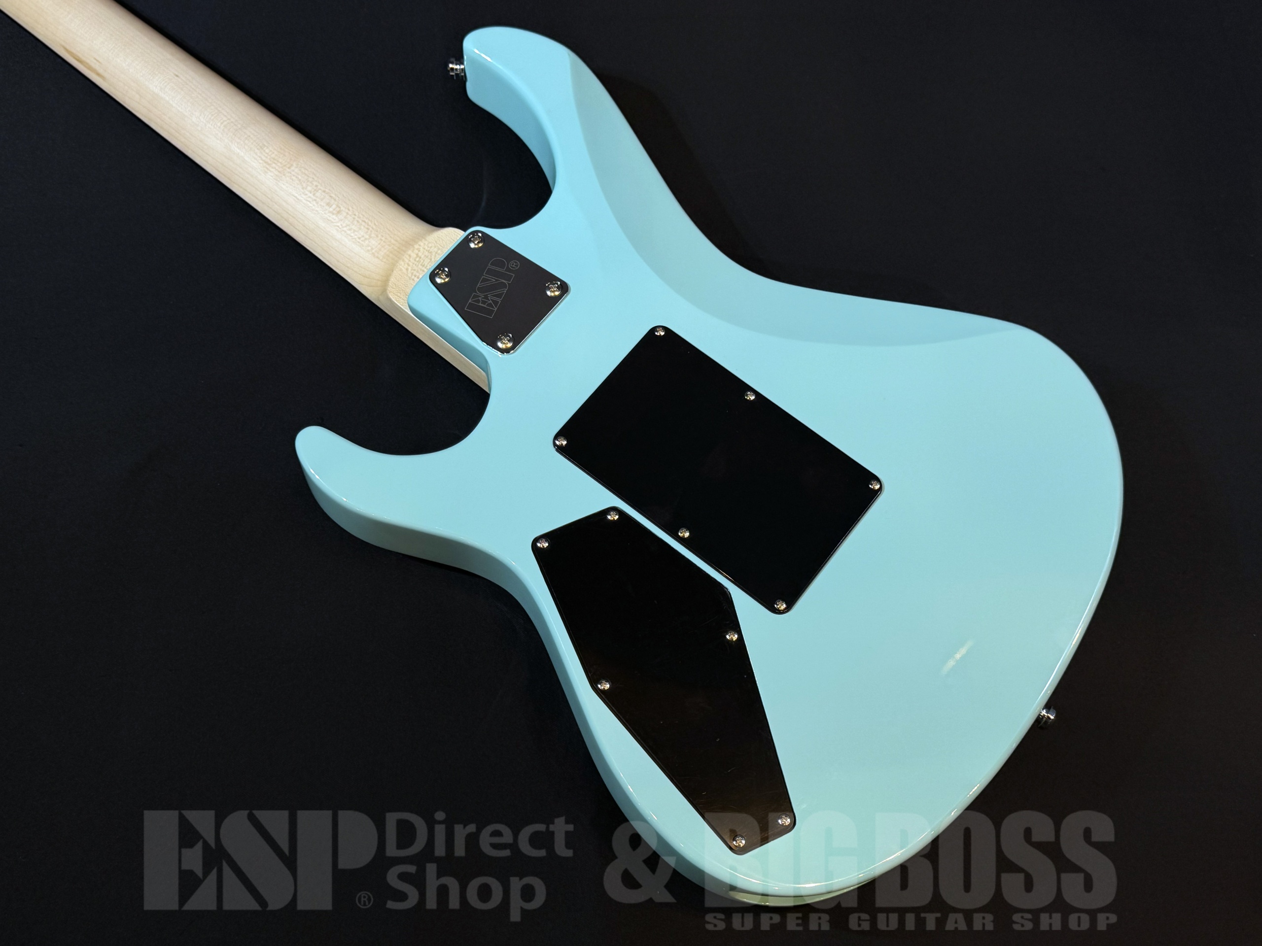 【即納可能】EDWARDS E-MAVERICK / Robin Egg Blue 大阪店 - 7