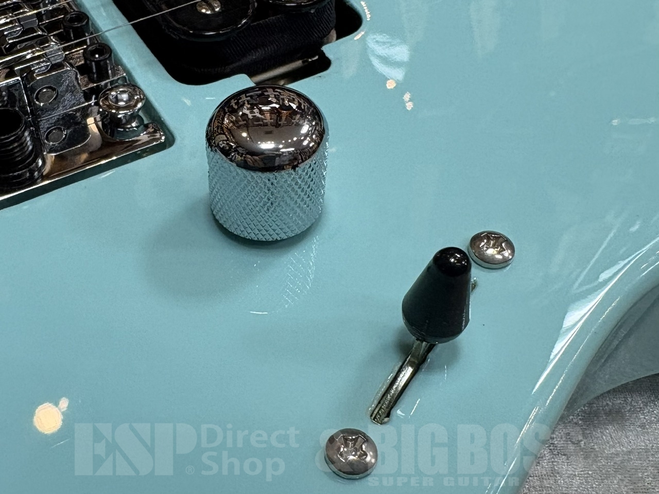 【即納可能】EDWARDS(エドワーズ)E-MAVERICK /Robin Egg Blue GWS - 5