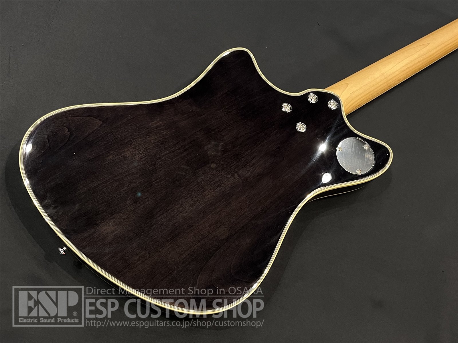 【即納可能】Balaguer Guitars Espada Ambient Select Gloss / See Through Black 大阪店
