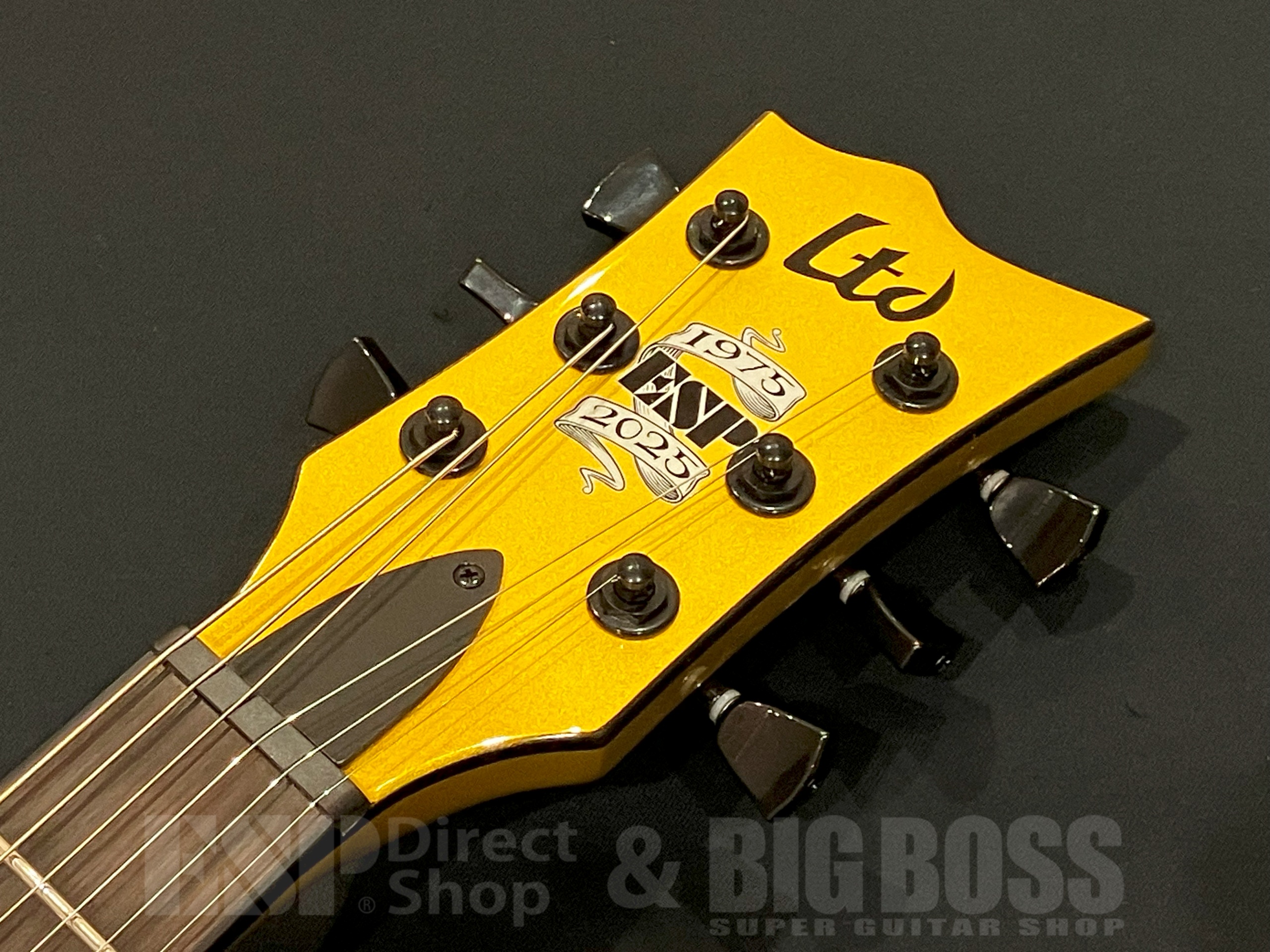 【即納可能】LTD(エルティーディー) EC-2025 50th Anniversary / Metallic Gold 大阪店 - 5