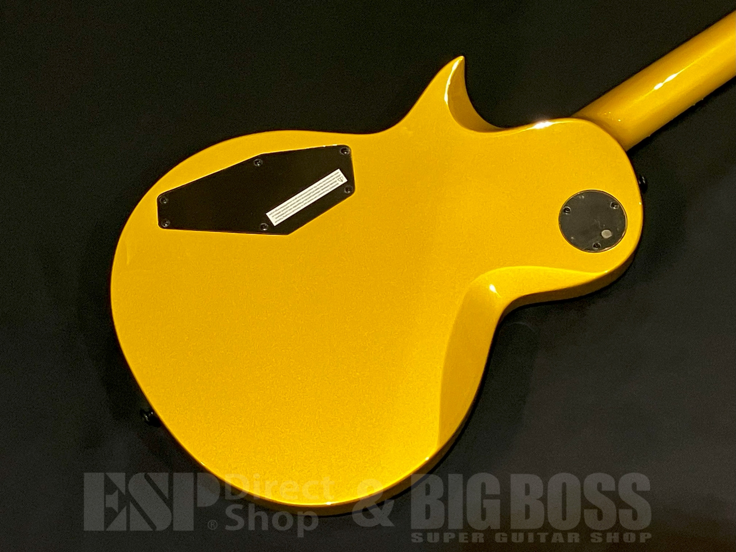 【即納可能】LTD(エルティーディー) EC-2025 50th Anniversary / Metallic Gold 大阪店 - 7
