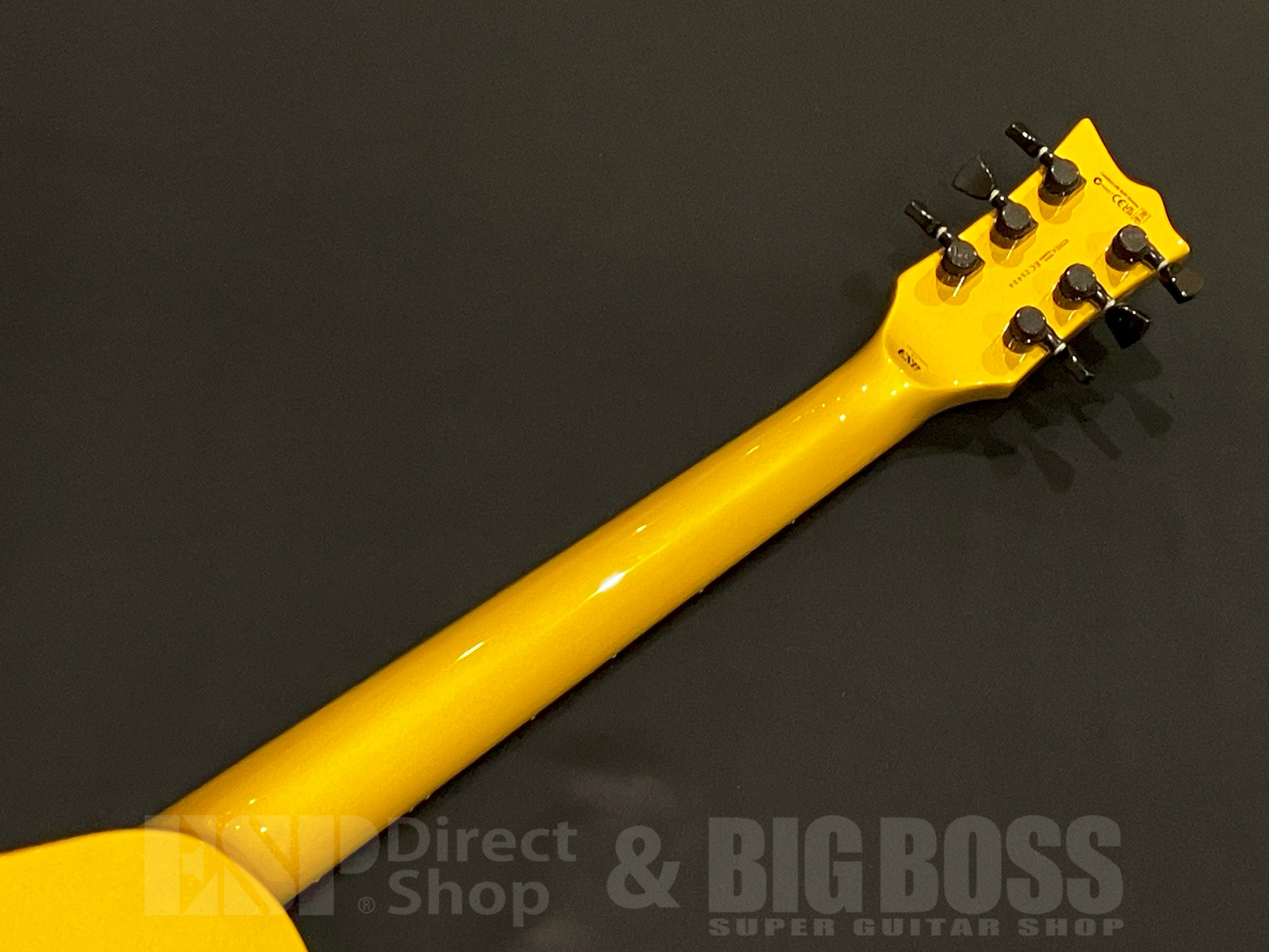 【即納可能】LTD(エルティーディー) EC-2025 50th Anniversary / Metallic Gold 大阪店 - 8