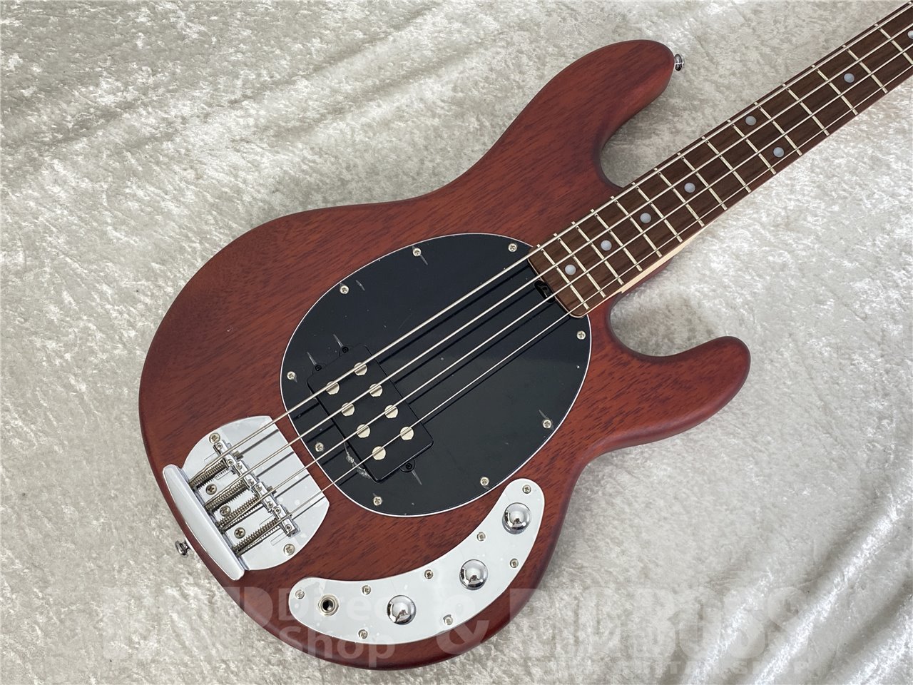 【即納可能】Sterling by MUSIC MAN(スターリンバイミュージックマン) S.U.B RAY4 / Walnut Satin お茶の水駅前店(東京) - 3