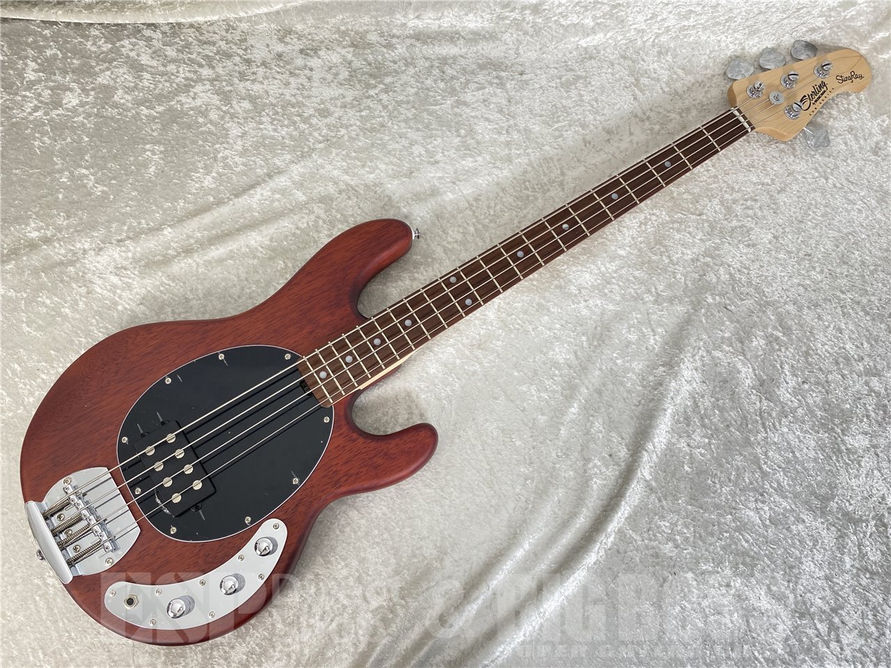 【即納可能】Sterling by MUSIC MAN(スターリンバイミュージックマン) S.U.B RAY4 / Walnut Satin お茶の水駅前店(東京)