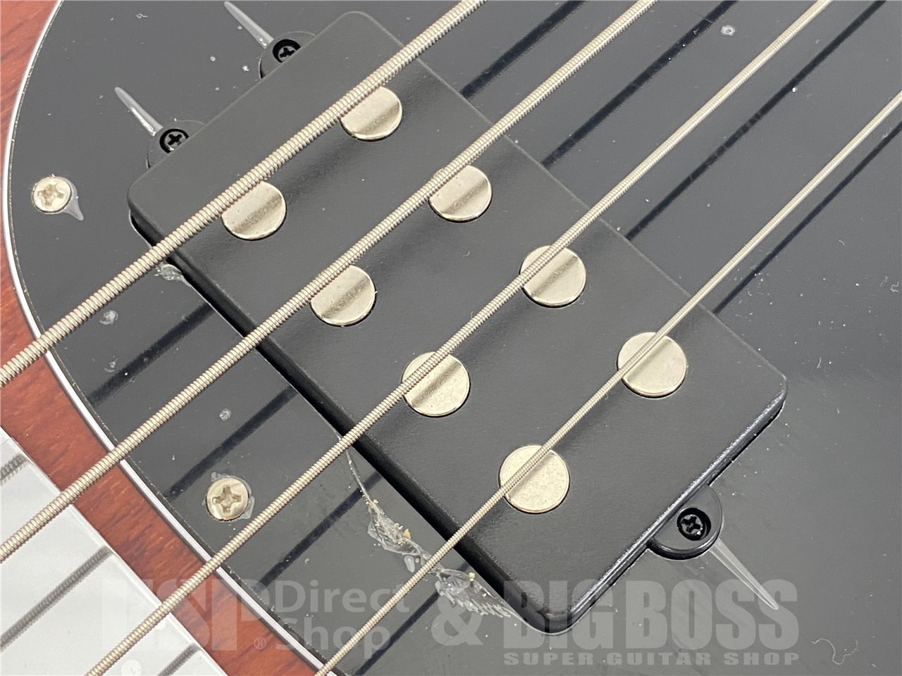 【即納可能】Sterling by MUSIC MAN(スターリンバイミュージックマン) S.U.B RAY4 / Walnut Satin お茶の水駅前店(東京) - 6