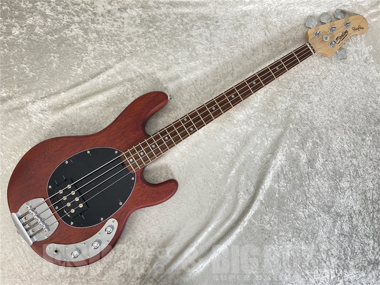 【即納可能】Sterling by MUSIC MAN(スターリンバイミュージックマン) S.U.B RAY4 / Walnut Satin お茶の水駅前店(東京) - 2