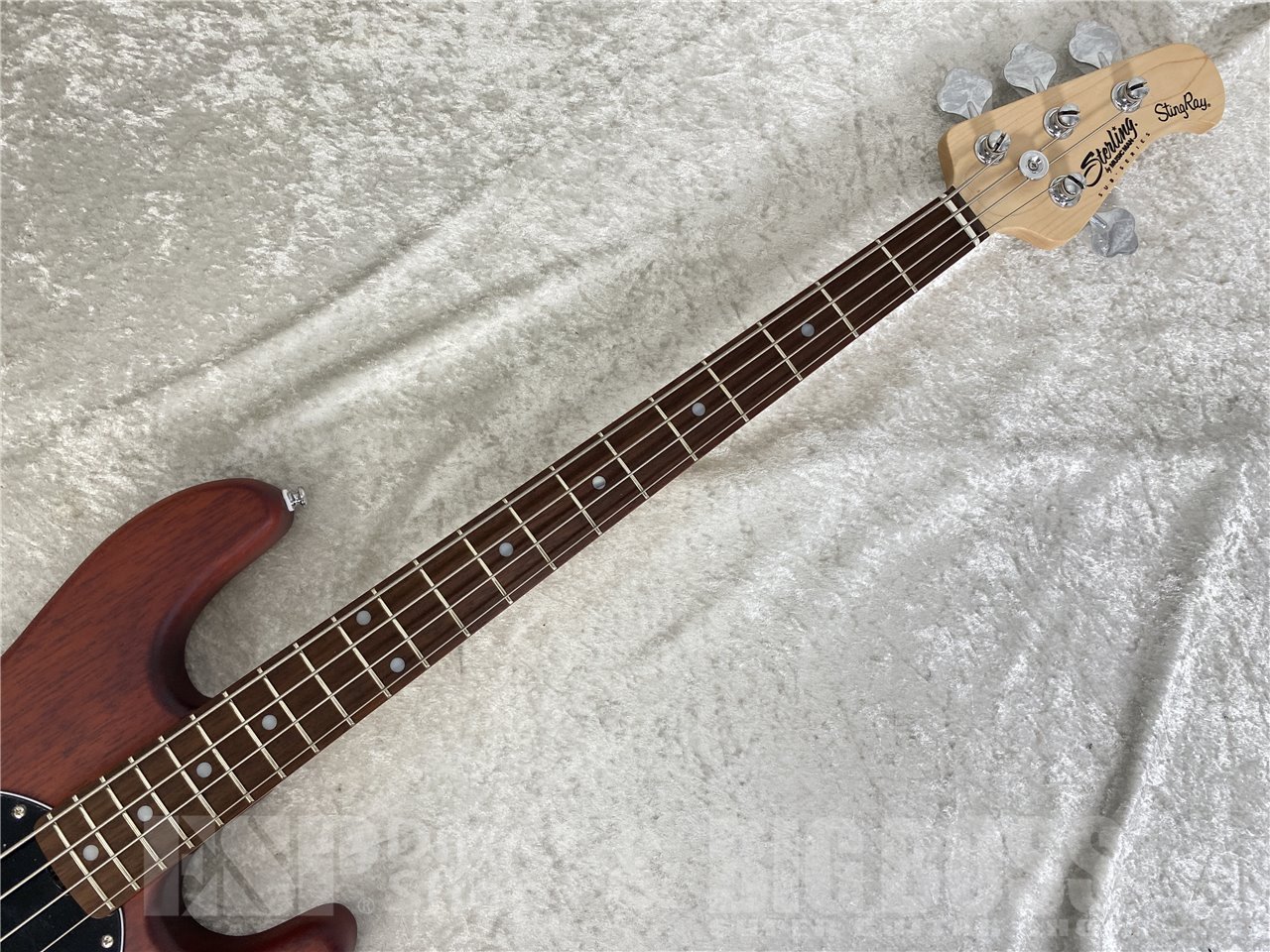 【即納可能】Sterling by MUSIC MAN(スターリンバイミュージックマン) S.U.B RAY4 / Walnut Satin お茶の水駅前店(東京) - 7
