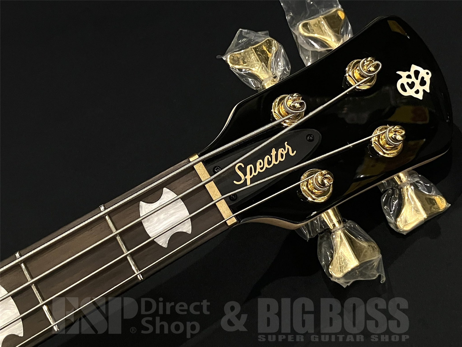 【即納可能】Spector(スペクター) NS Icon Bolt-On 4 / Black Stain Gloss 京都店 - 6
