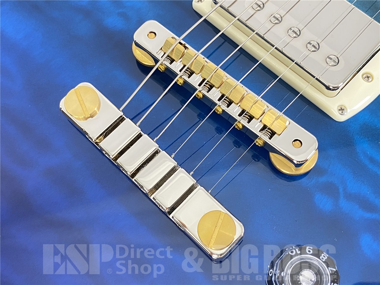 【即納可能】Paul Reed Smith(PRS/ポールリードスミス) SE McCarty 594 Single Cut Quilt (Blue Fade) お茶の水駅前店(東京) - 4