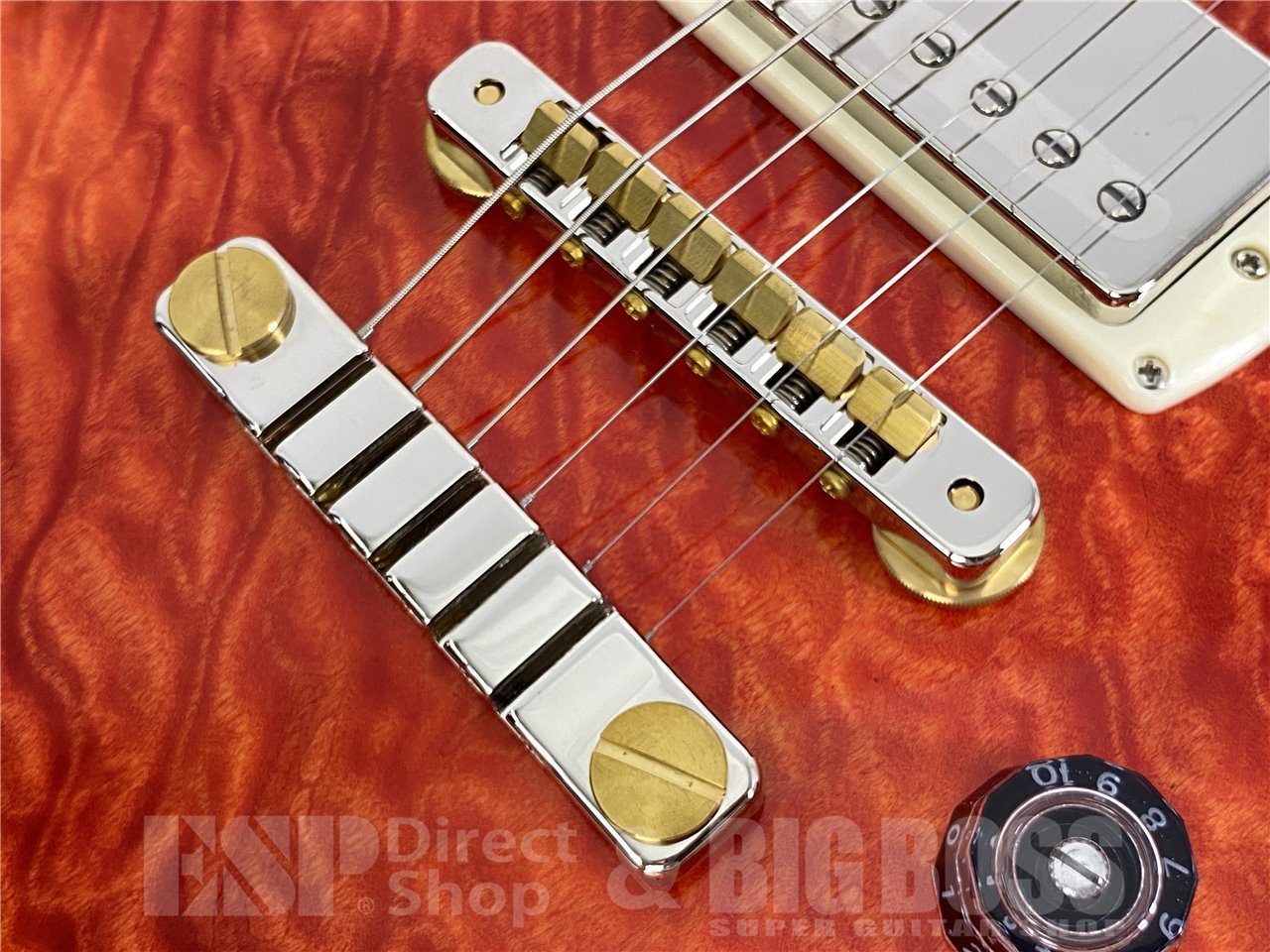 【即納可能】Paul Reed Smith(PRS/ポールリードスミス) SE McCarty 594 Quilt (Blood Orange) お茶の水駅前店(東京) - 5