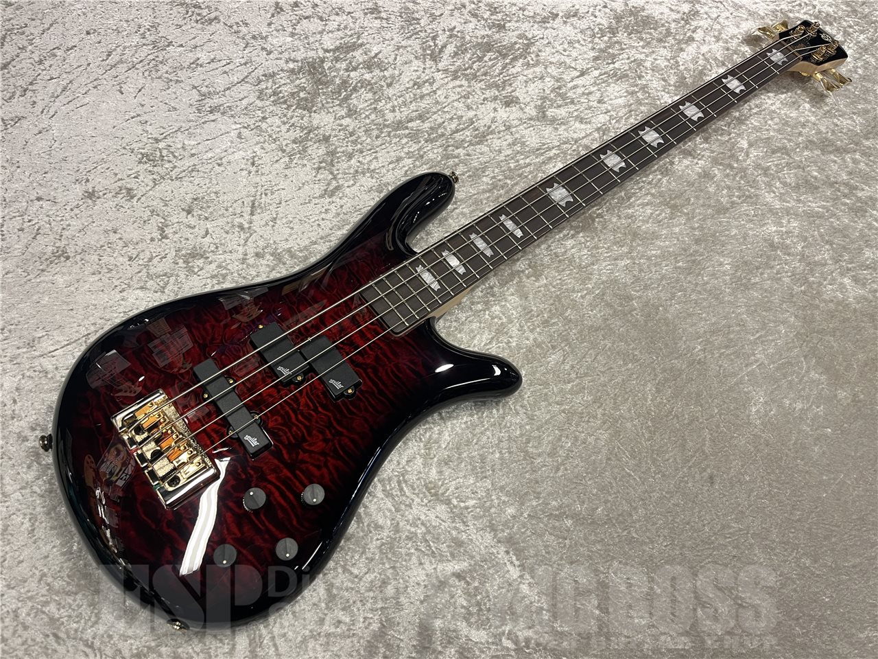 【即納可能】Spector（スペクター）NS 2 Bolt-On 4（Black Cherry Gloss）　名古屋店