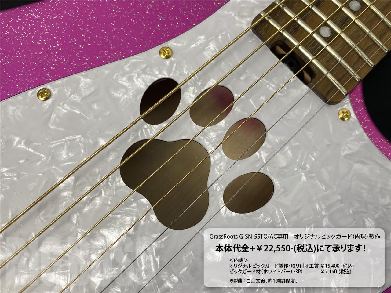 GrassRoots G-SN-55TO/AC Produced by Takayoshi Ohmura