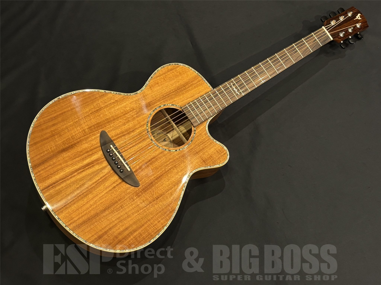 【即納可能】DCT Japan(ディーシーティージャパン) VR-645KCE / Natural 京都店