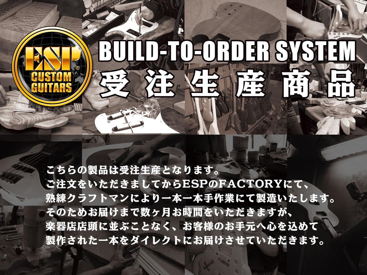 【受注生産】ESP(イーエスピー) ESP-ARROW FR / Black