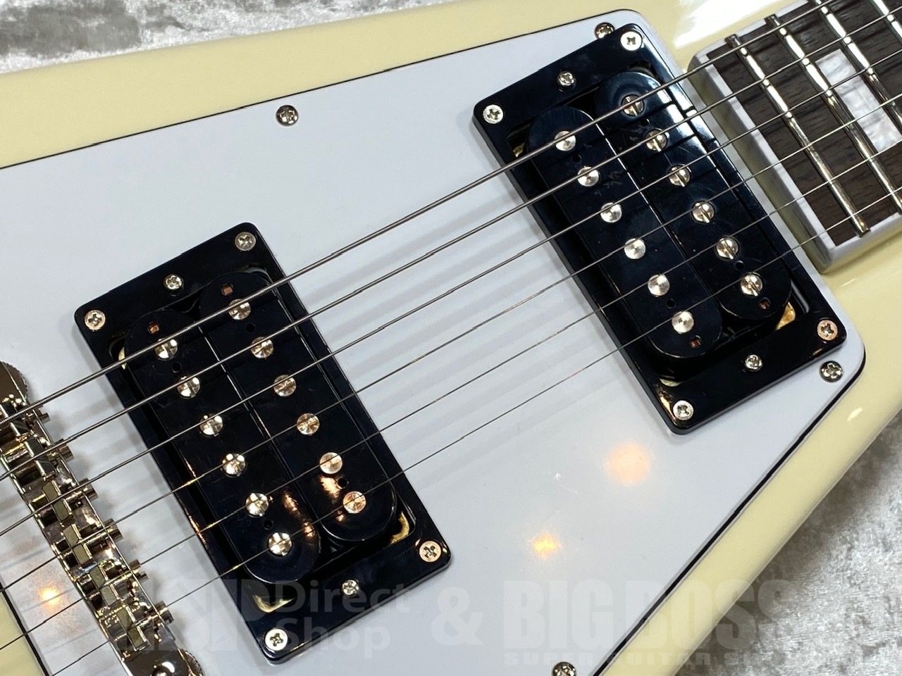 【即納可能】EDWARDS E-FV-LTD / Vintage White   GWS - 5