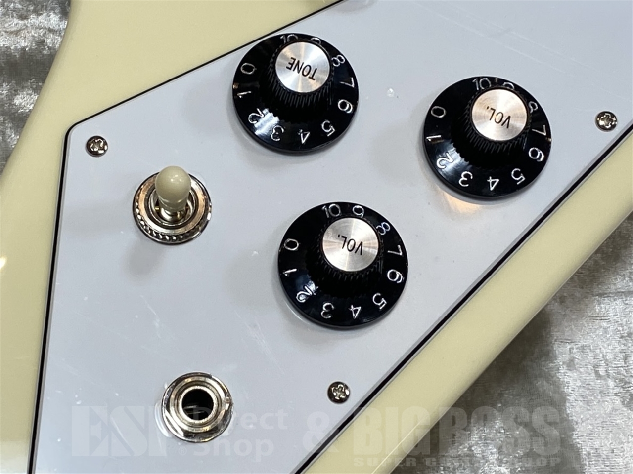【即納可能】EDWARDS E-FV-LTD / Vintage White   GWS - 6