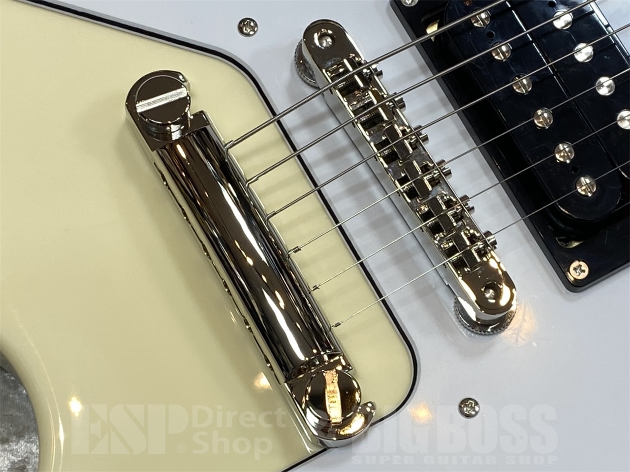 【即納可能】EDWARDS E-FV-LTD / Vintage White   GWS - 7