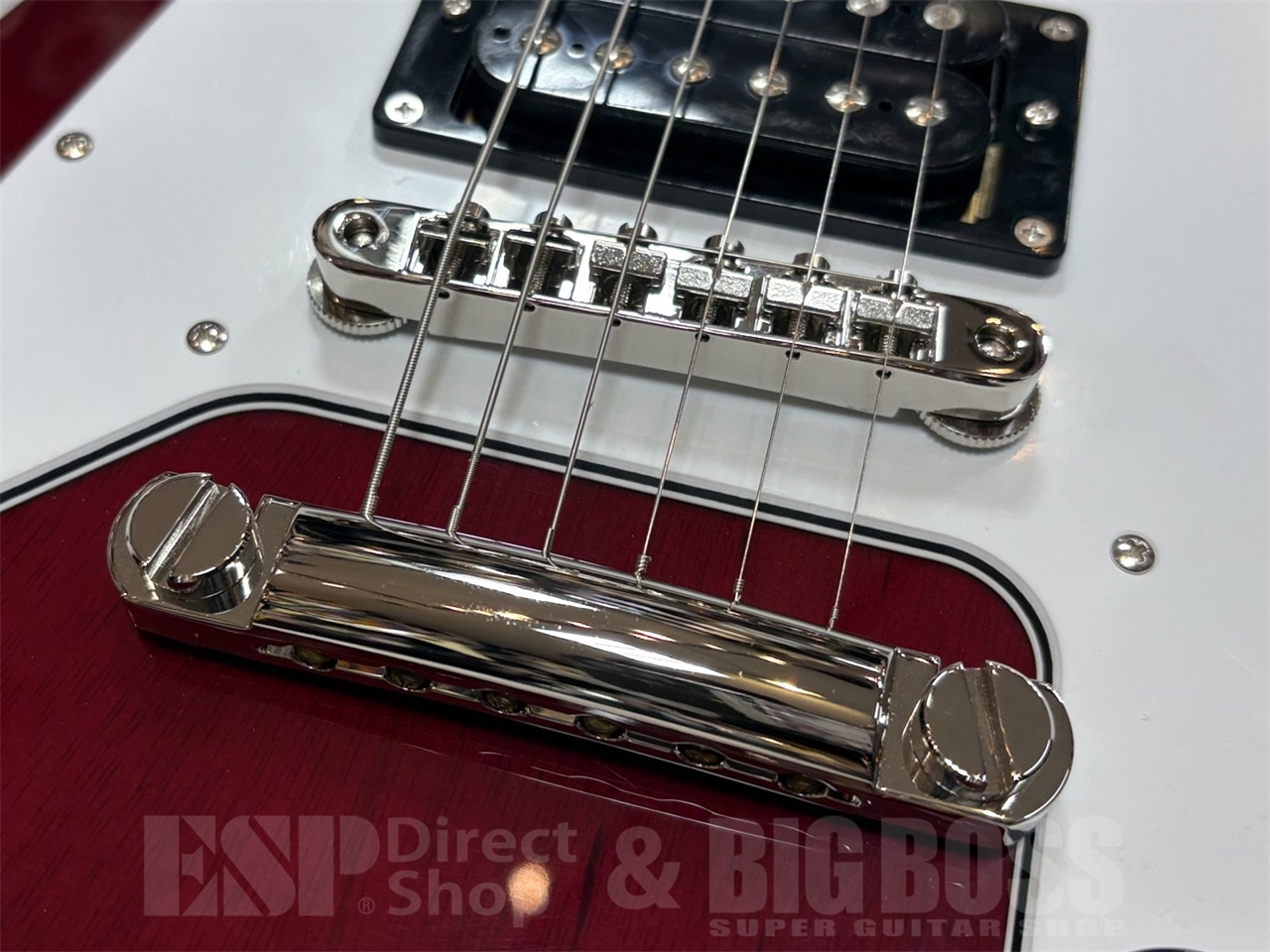 【即納可能】EDWARDS(エドワーズ) E-FV-LTD / Cherry   GWS - 5
