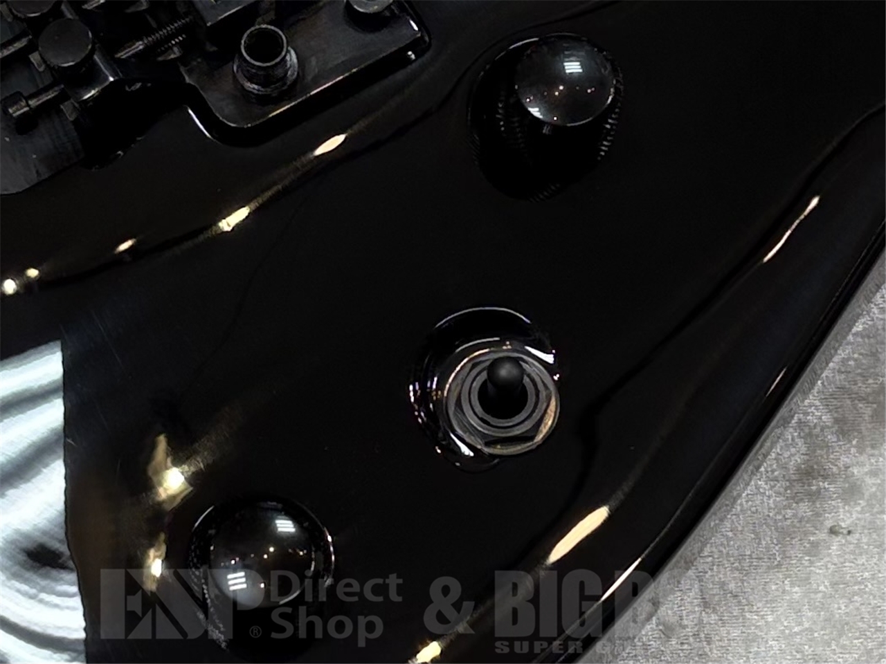 【即納可能】EDWARDS(エドワーズ) E-HORIZON-I / Black GWS - 5
