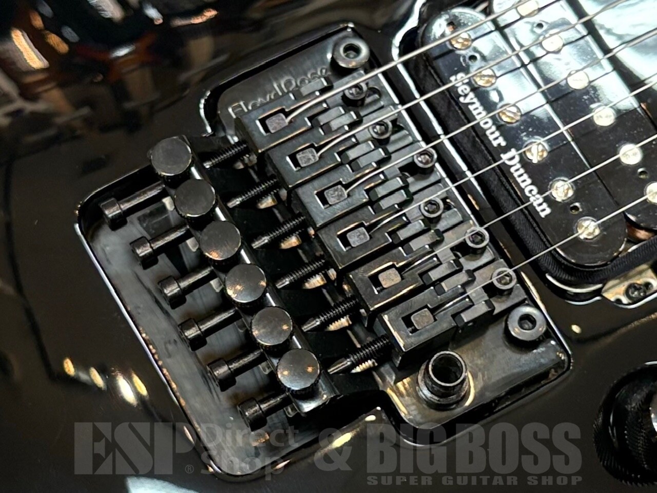 【即納可能】EDWARDS(エドワーズ) E-HORIZON-I / Black GWS - 6