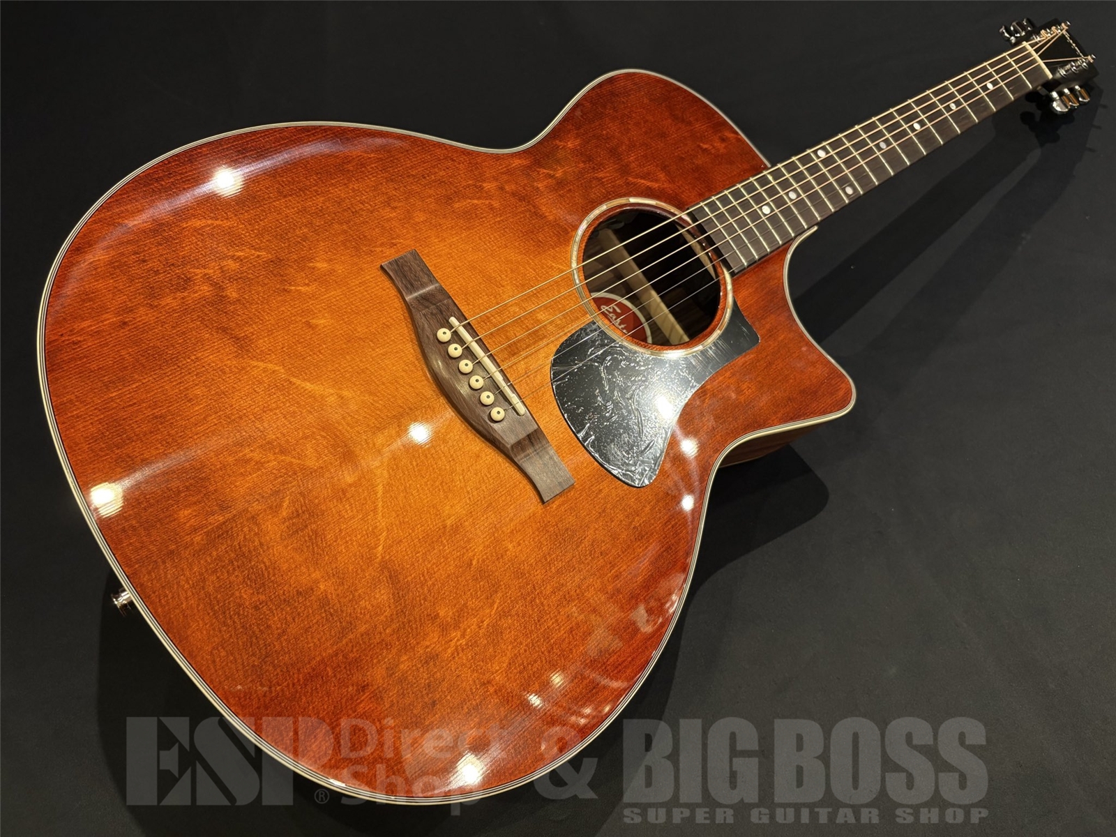 【即納可能】Eastman(イーストマン) PCH2-GACE-CLA 京都店