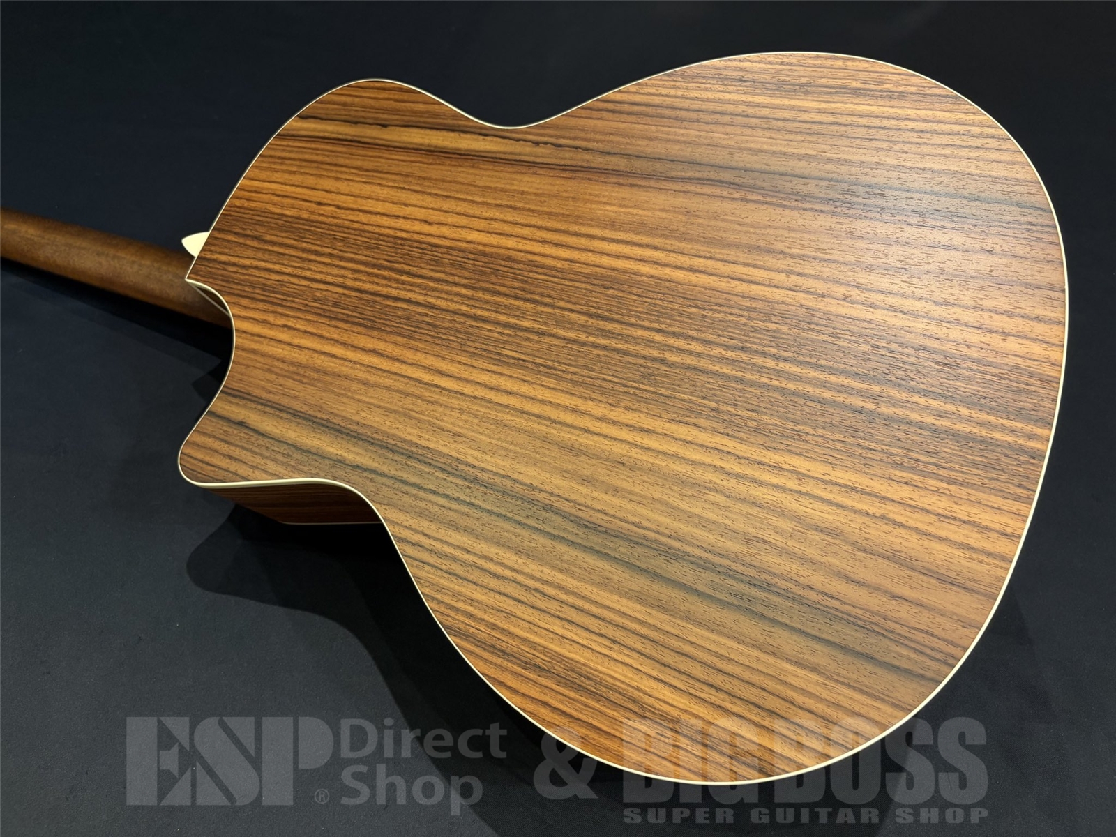 【即納可能】Eastman(イーストマン) PCH2-GACE-CLA 京都店 - 9
